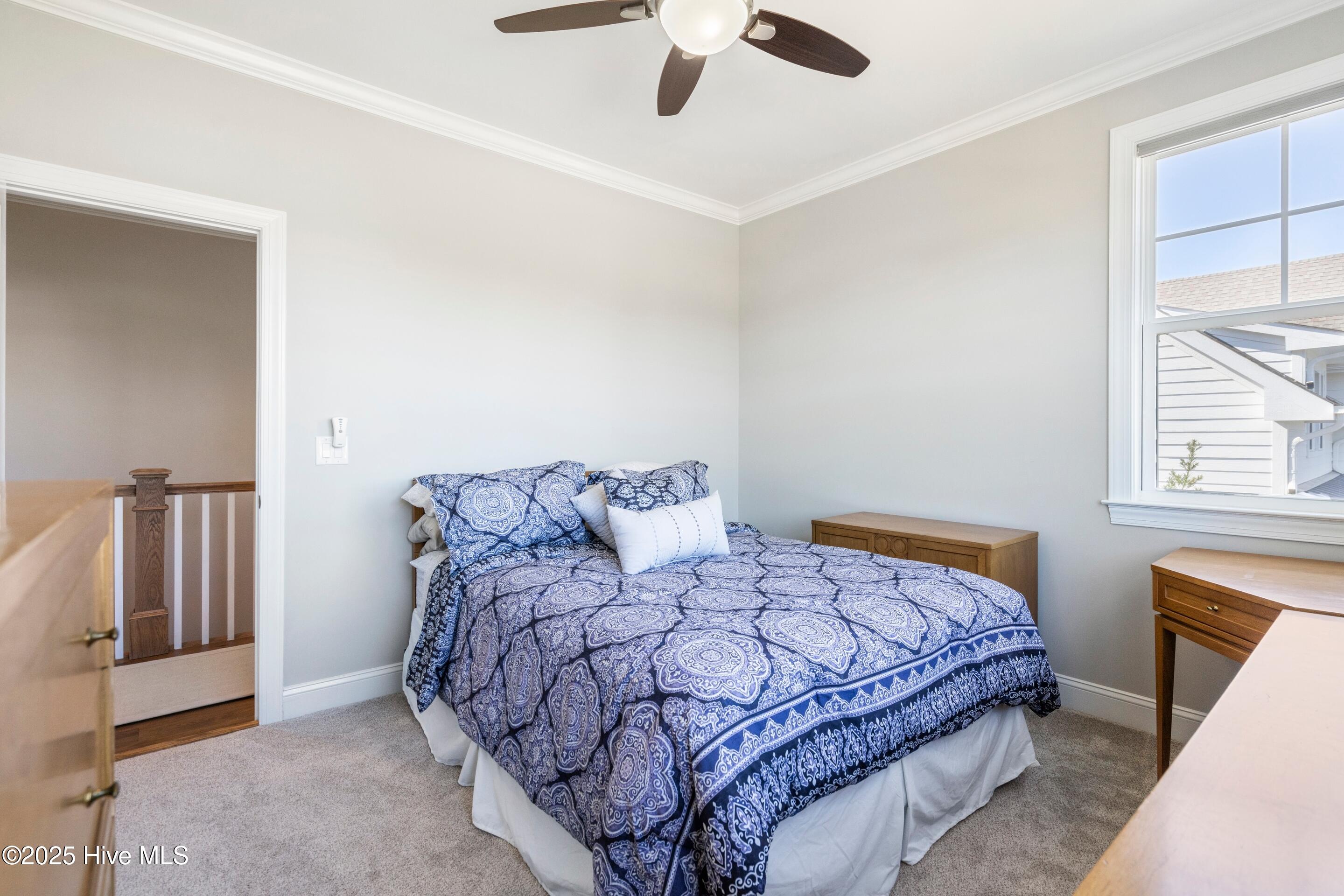 100551438 | Photo 42