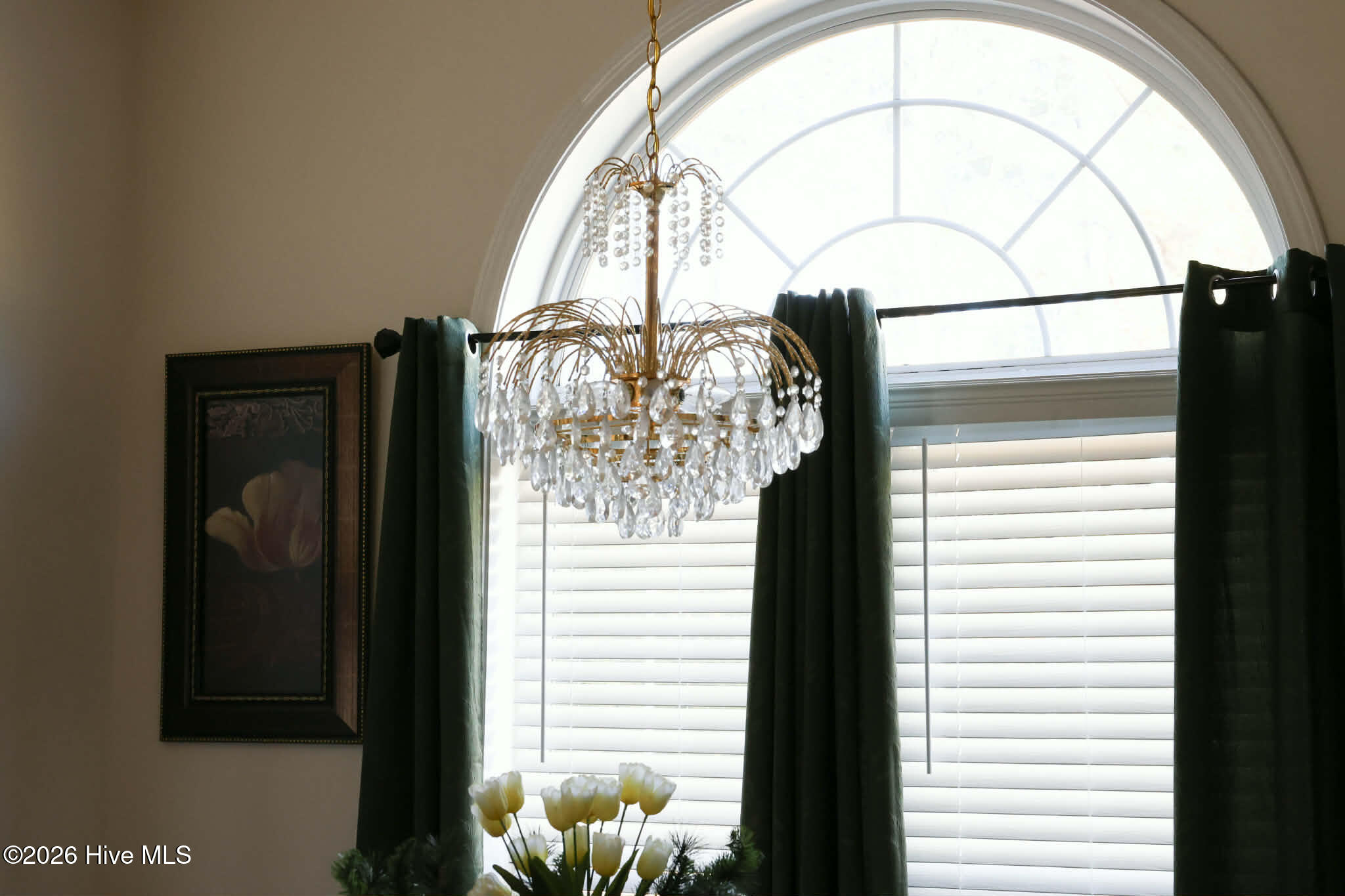 100548456 | Photo 31