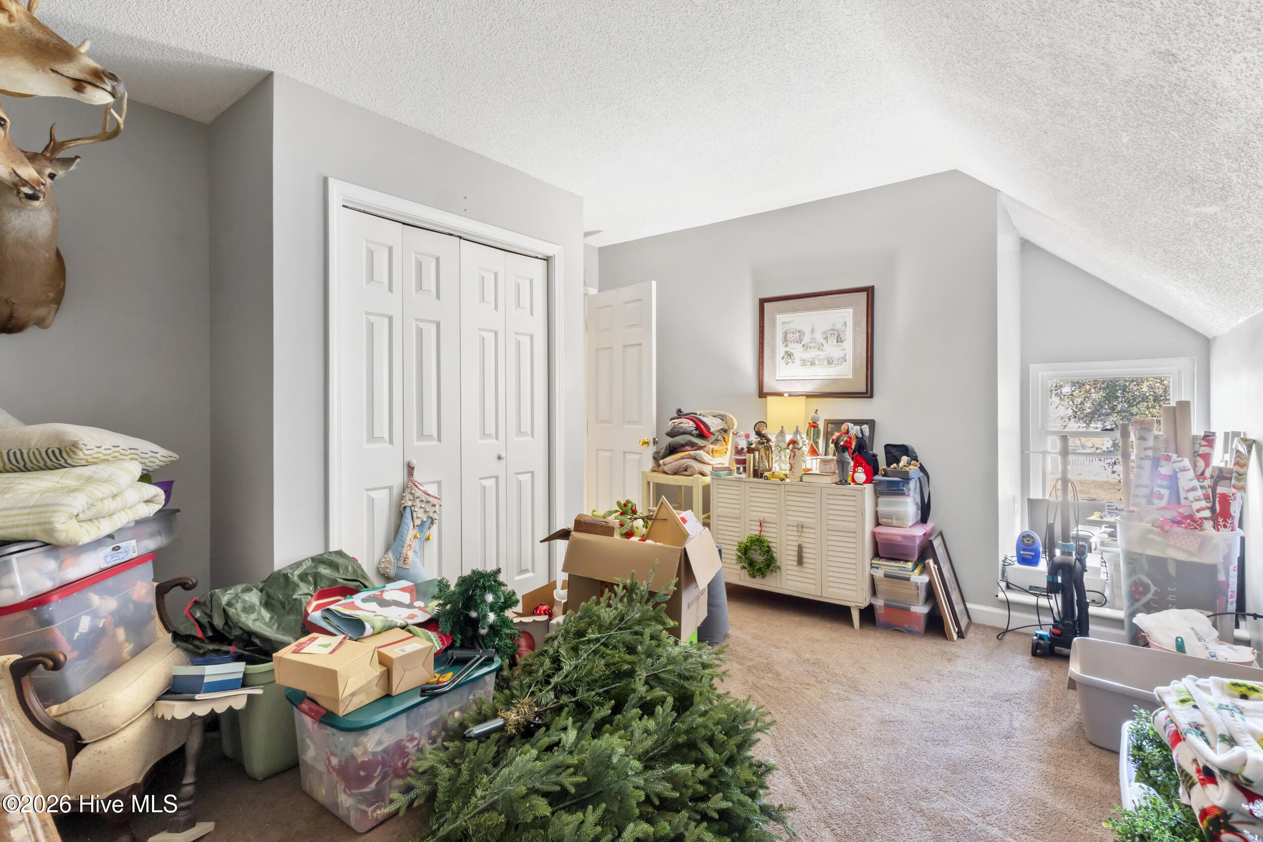 100555231 | Photo 22