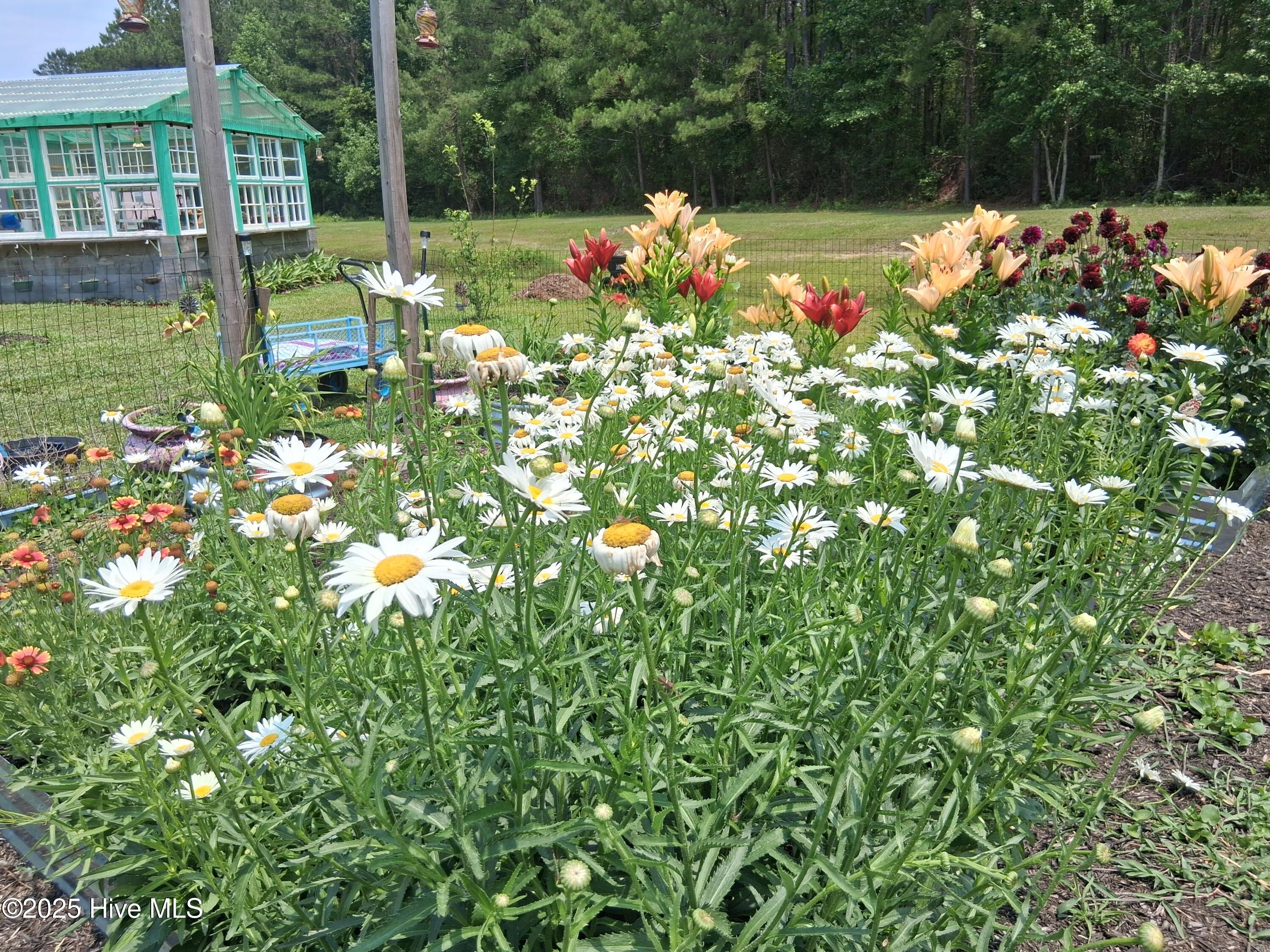 1237 Belgrade Swansboro Road,Hubert