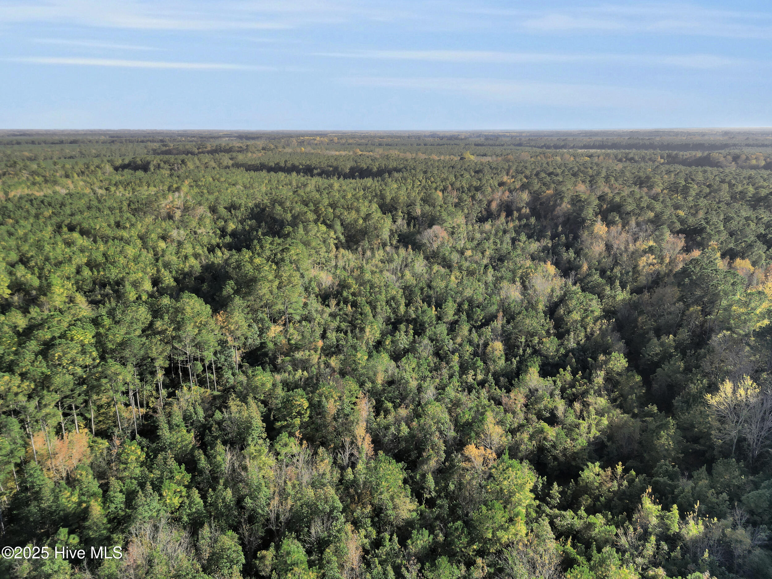 Homes for sale in Pink Hill, NC | 00 E Pleasant Hill Rd, Pink Hill, NC 28572 | MLS# 100540408