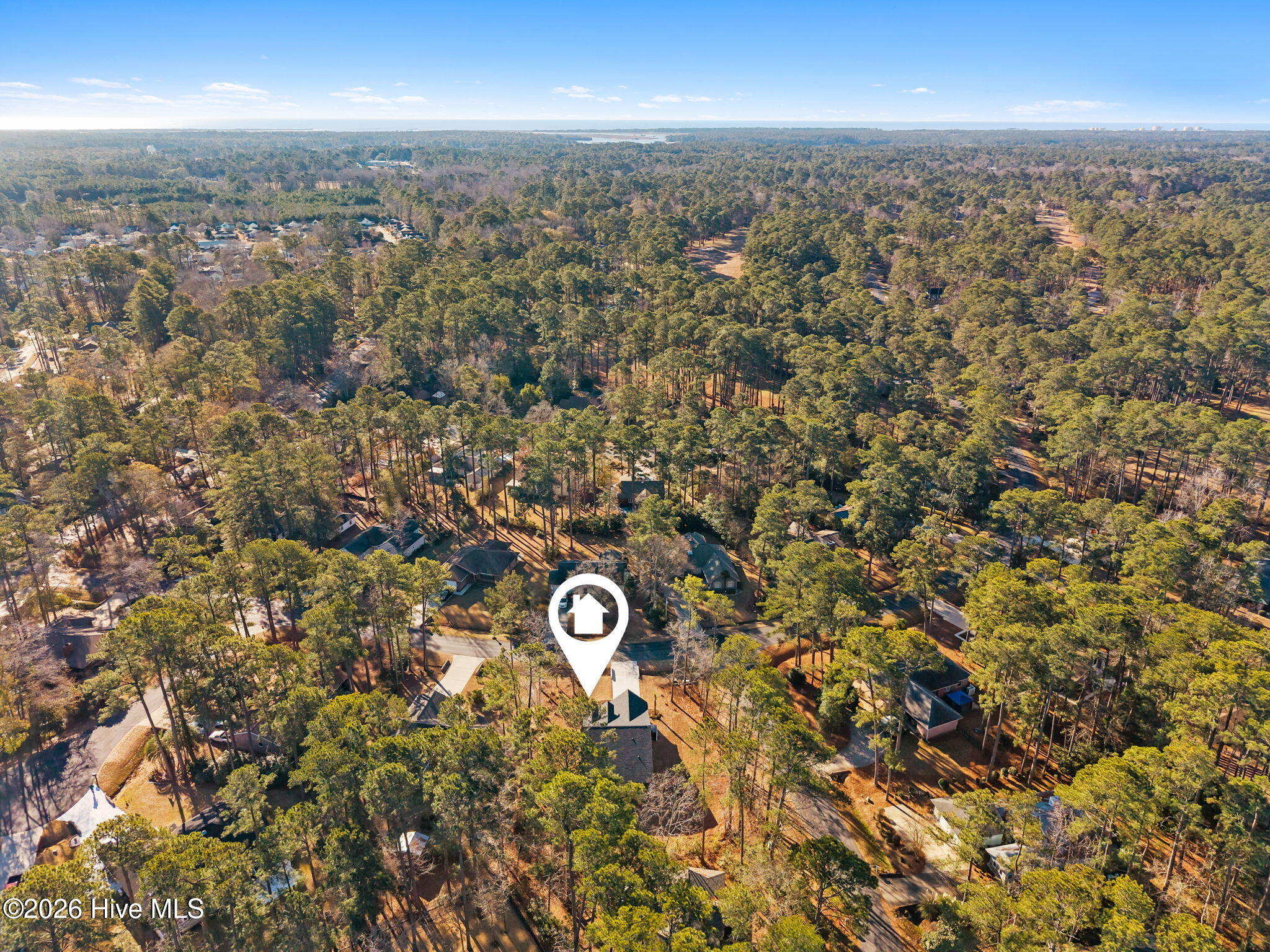 100528198 | Photo 49