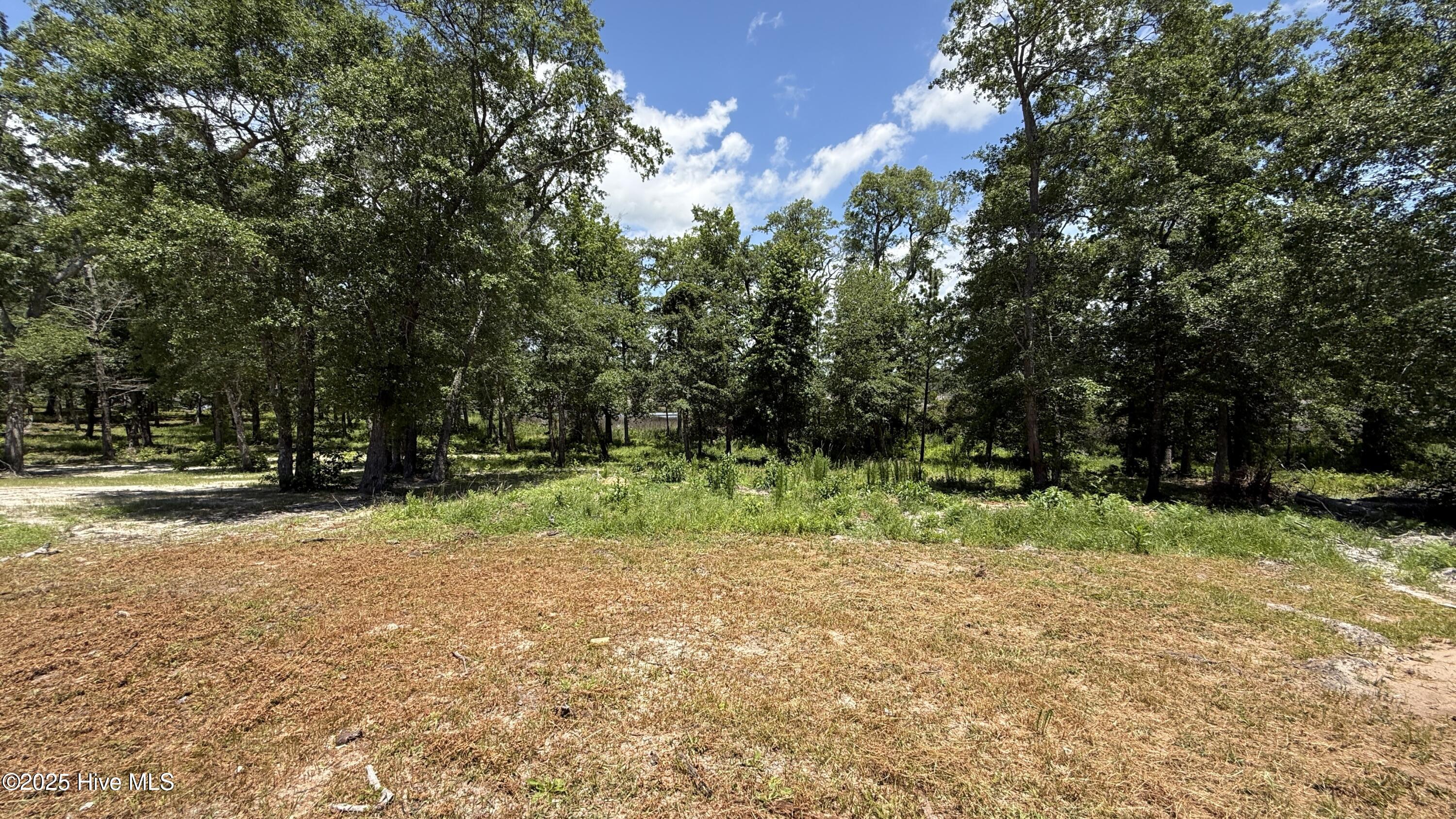 100500370 | Photo 29