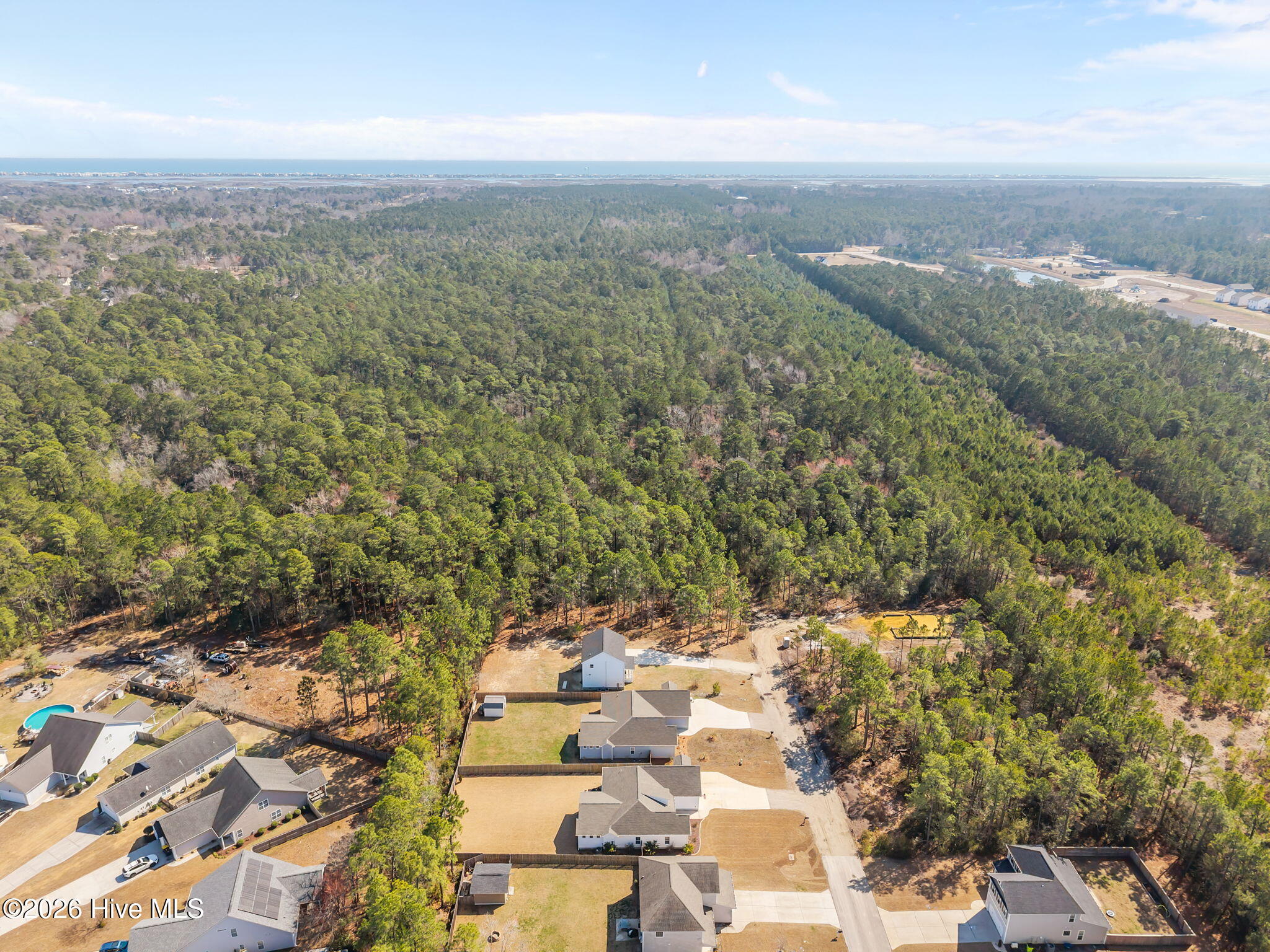 100557653 | Photo 48