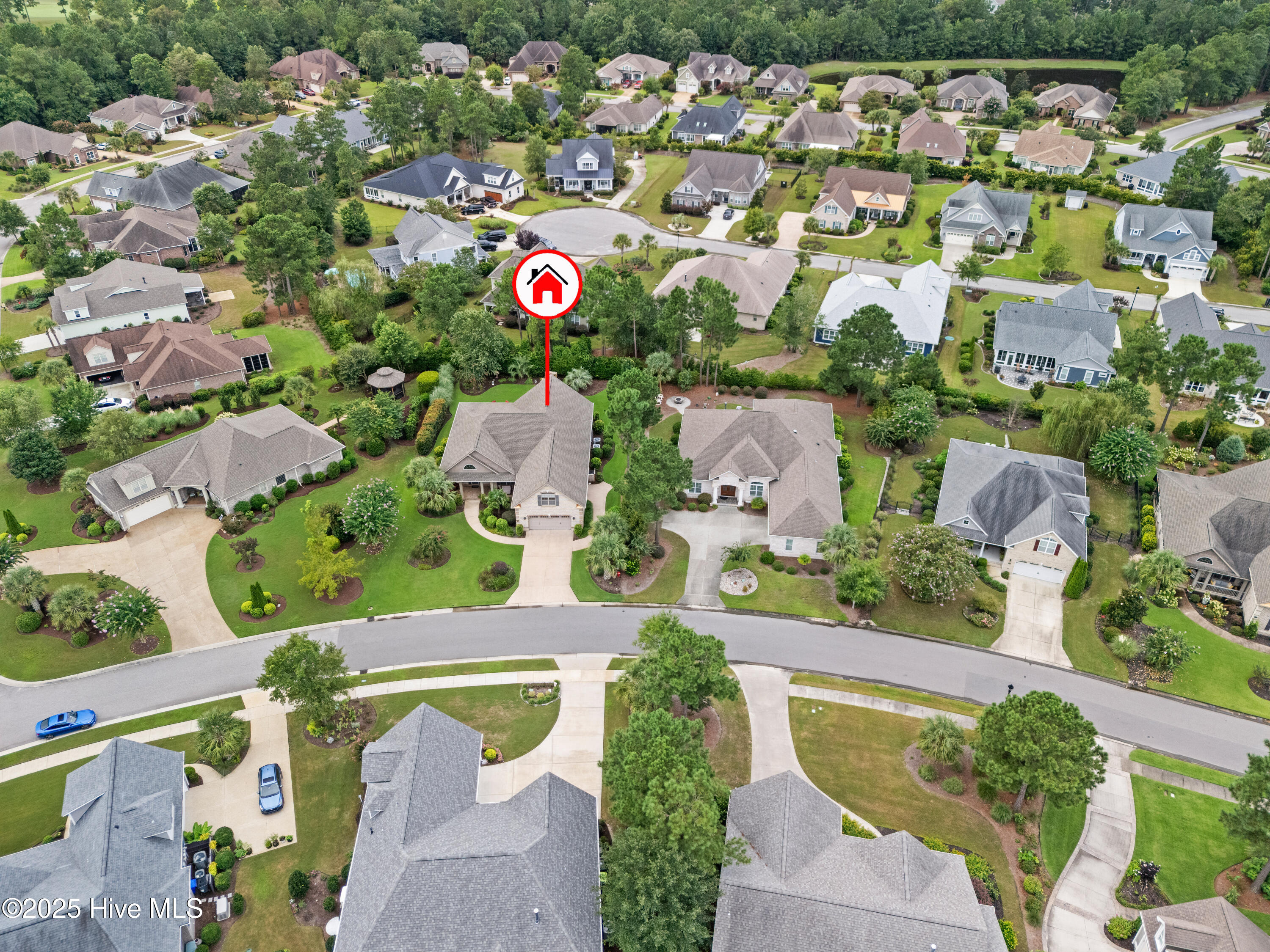 100525197 | Photo 64