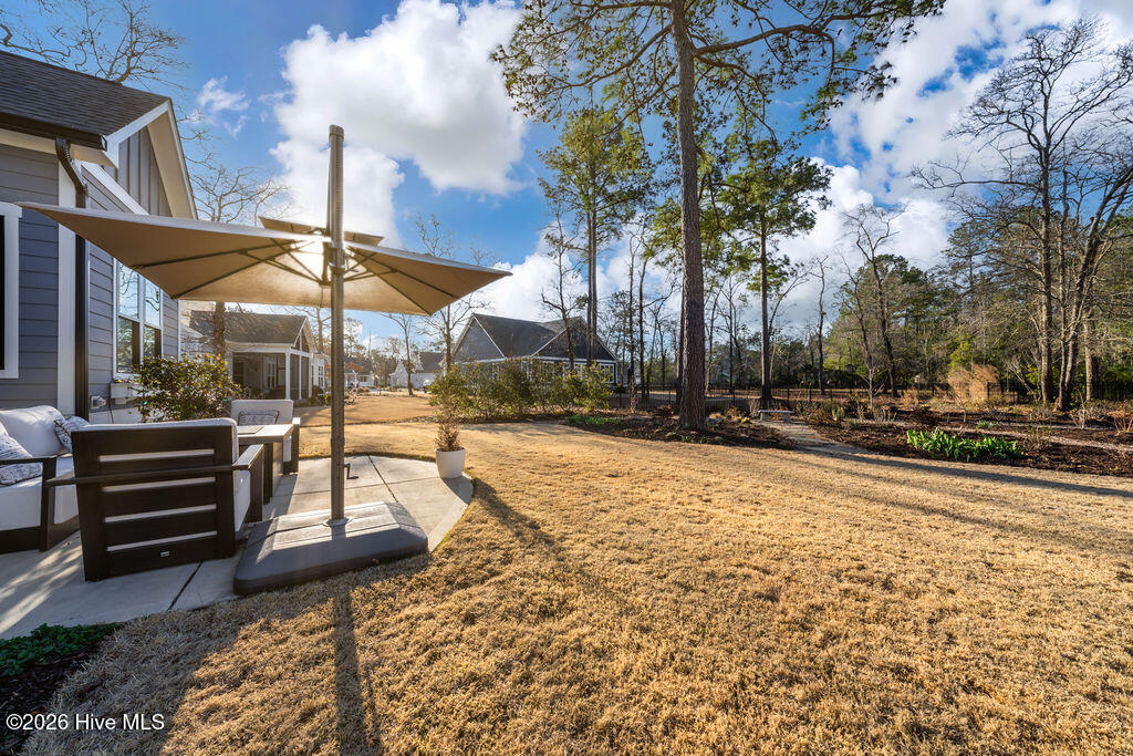 100558848 | Photo 42