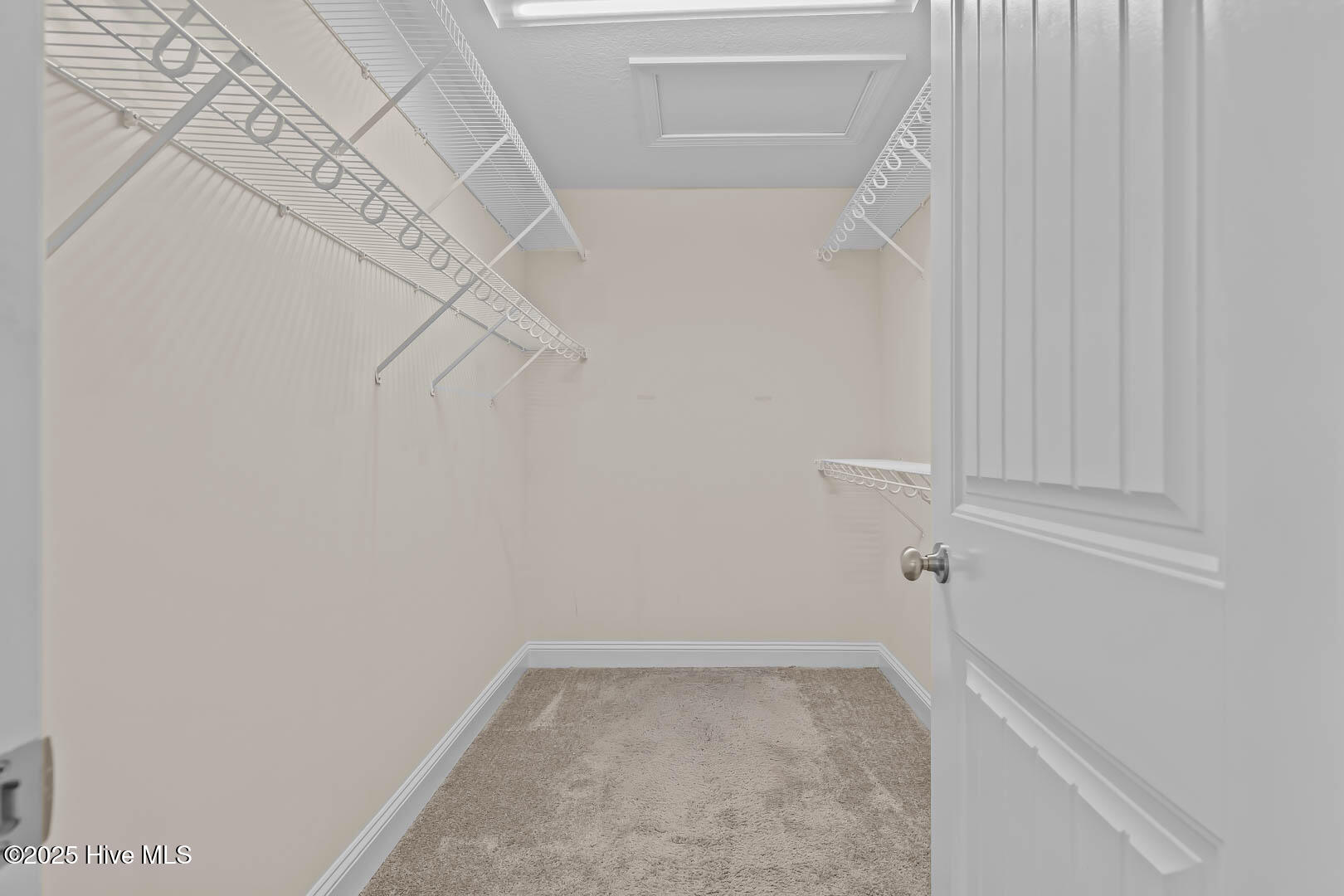 100520139 | Photo 22