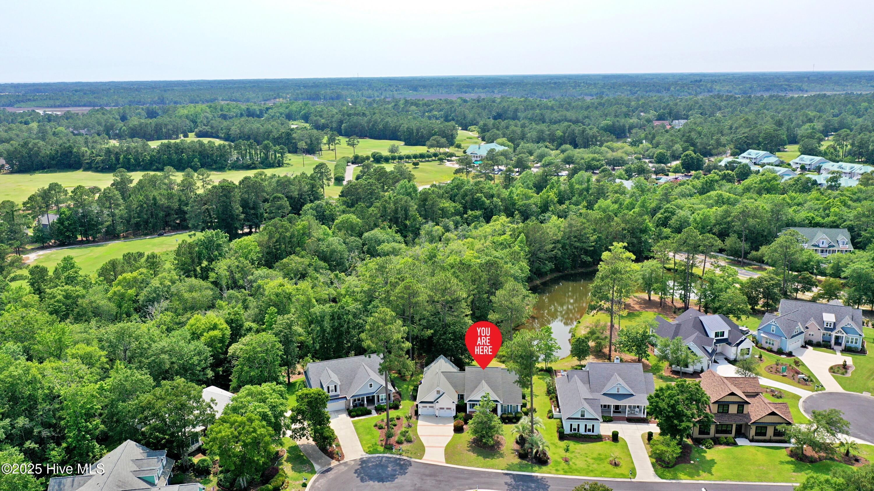 100511147 | Photo 35