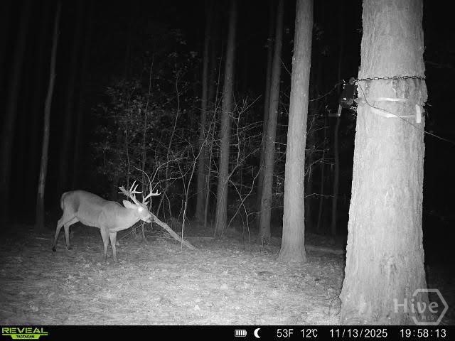 1208 Elberton Road, Lexington, GA, 30648