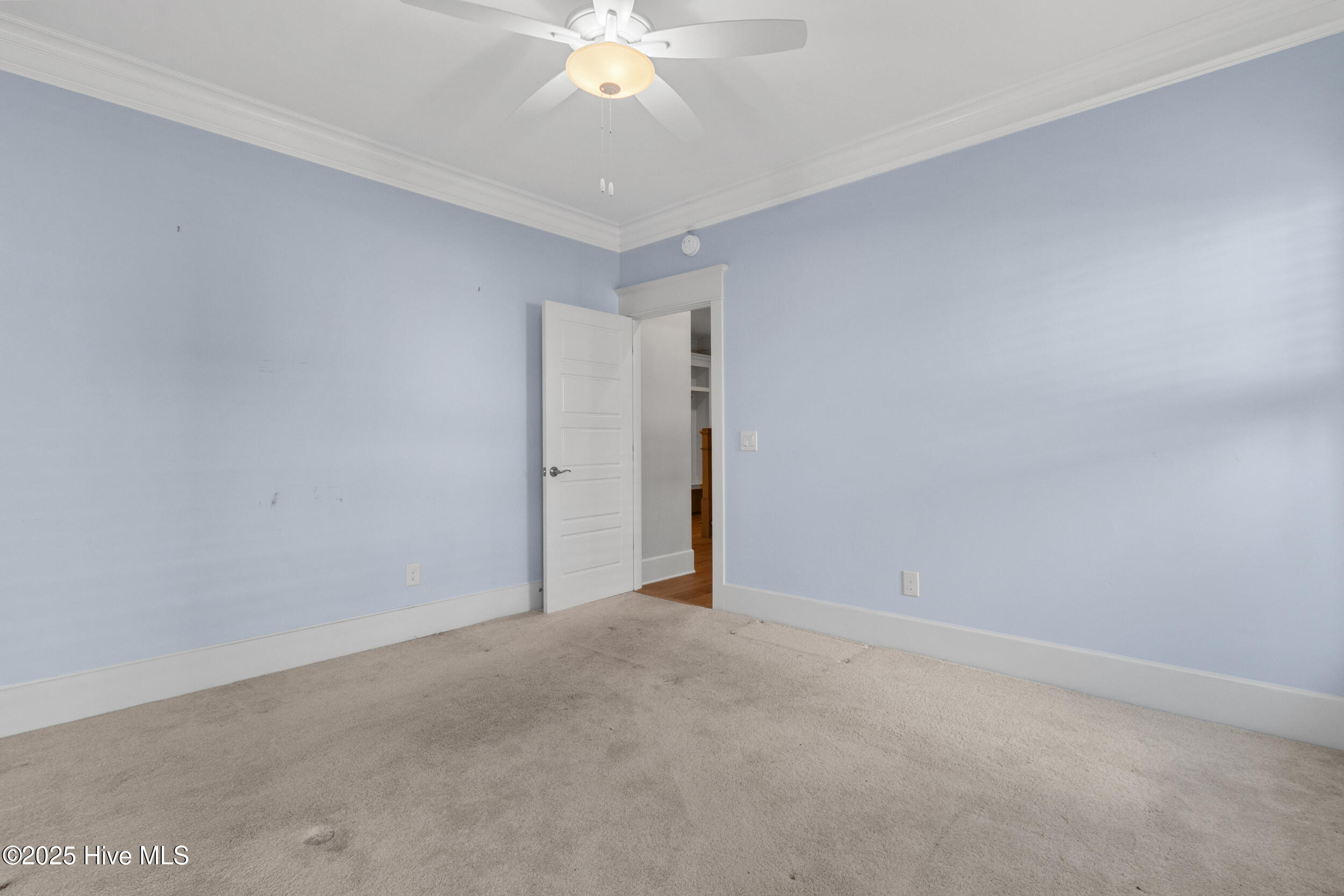 100541270 | Photo 31