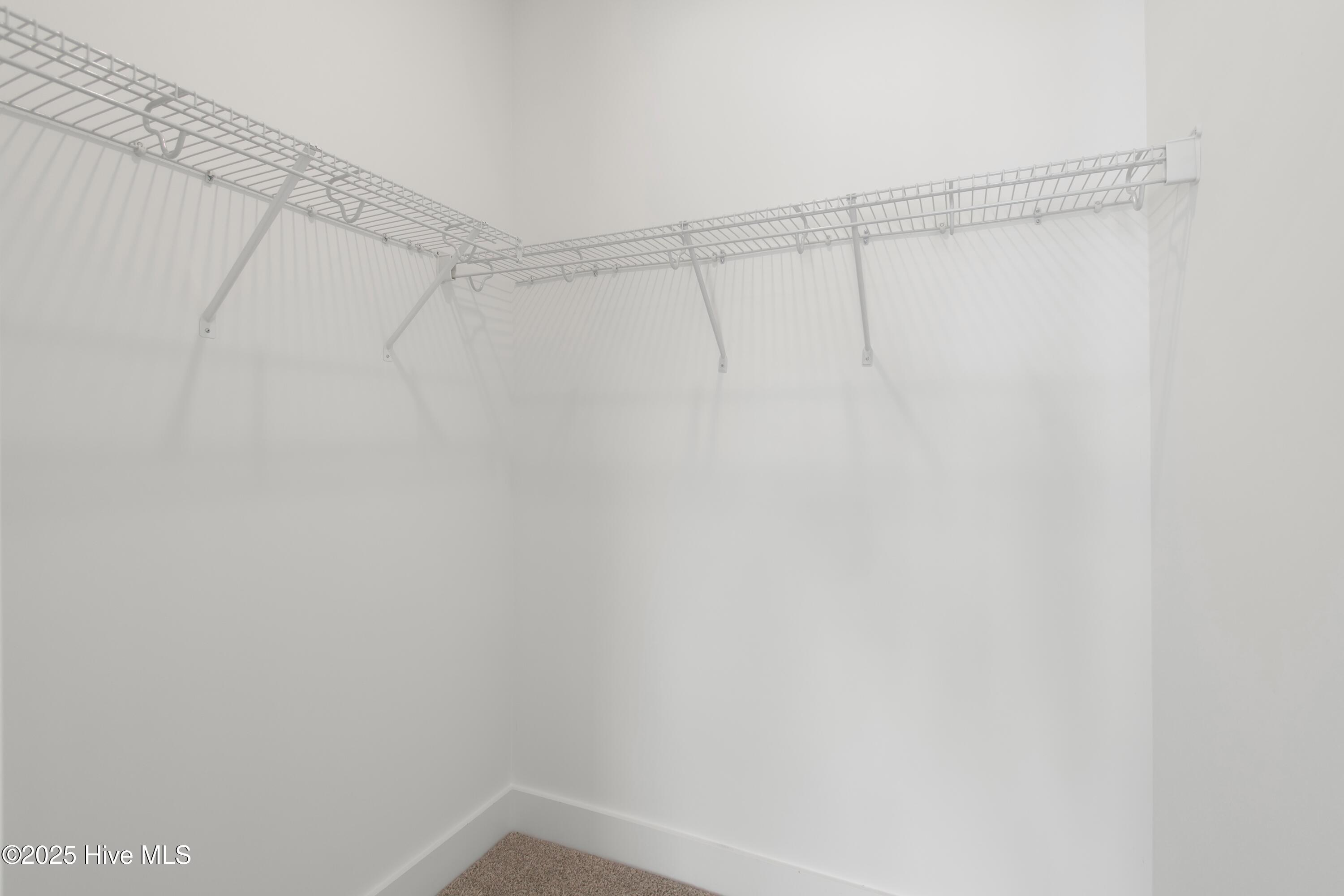 100520444 | Photo 54