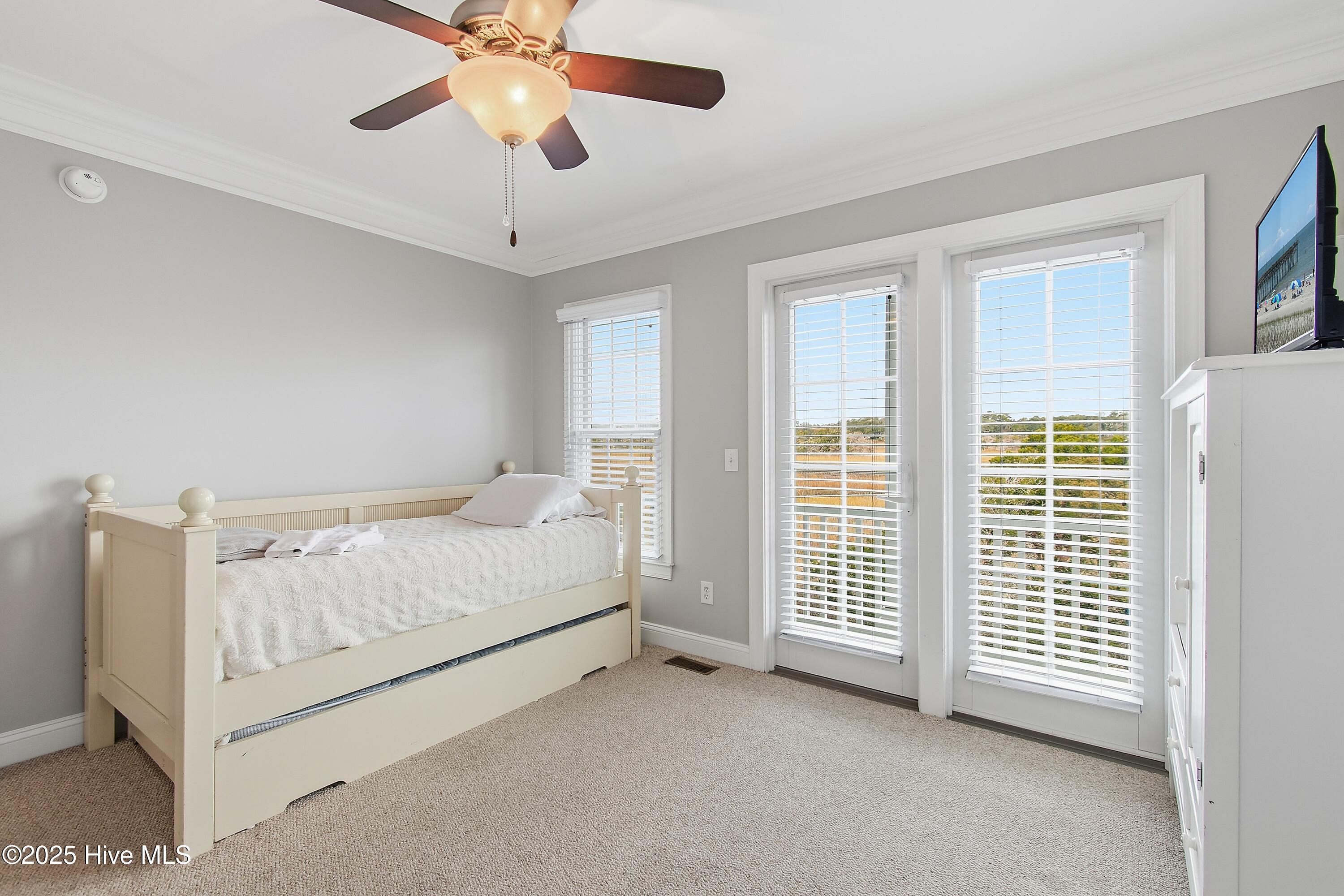 100541969 | Photo 46