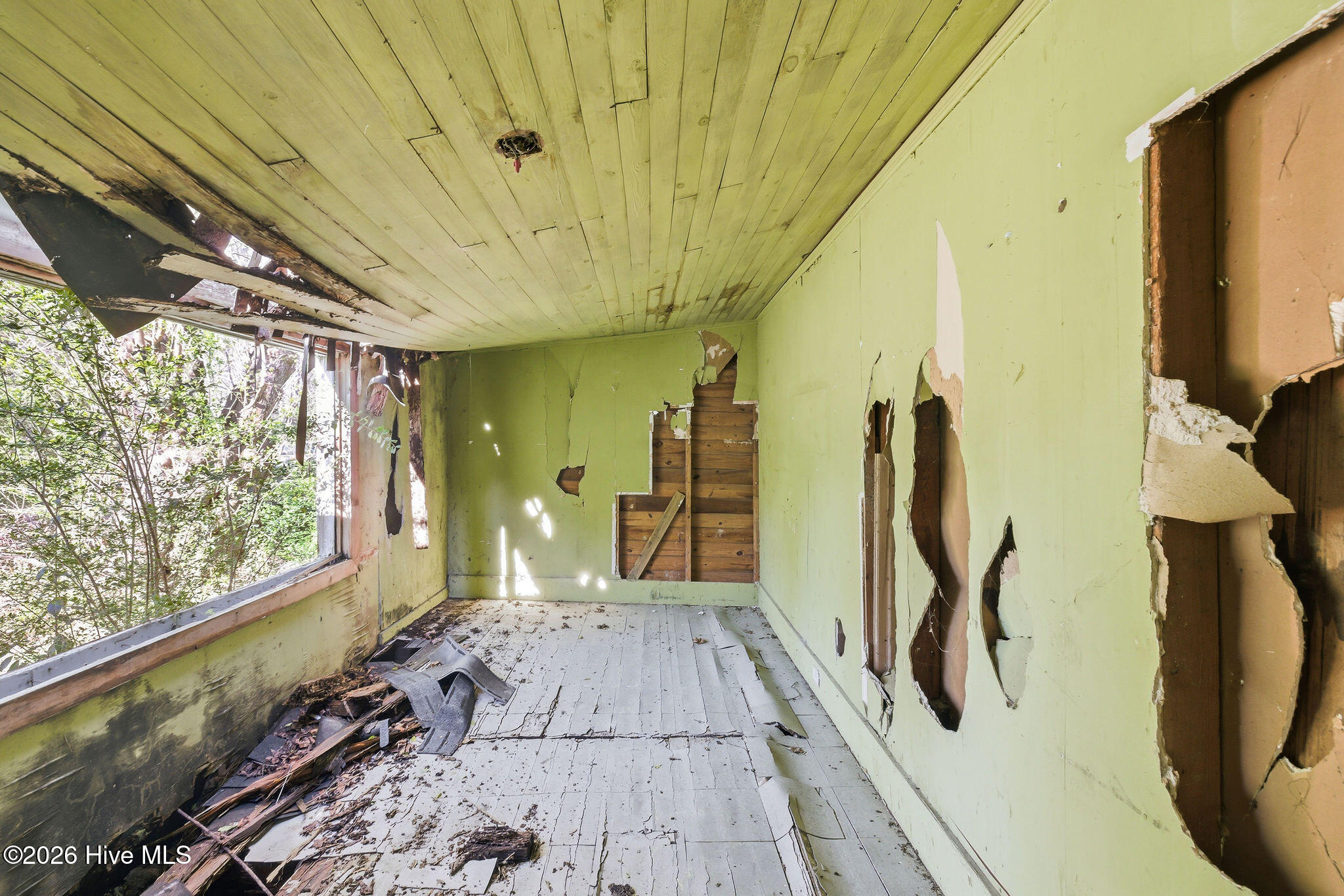 100561075 | Photo 11