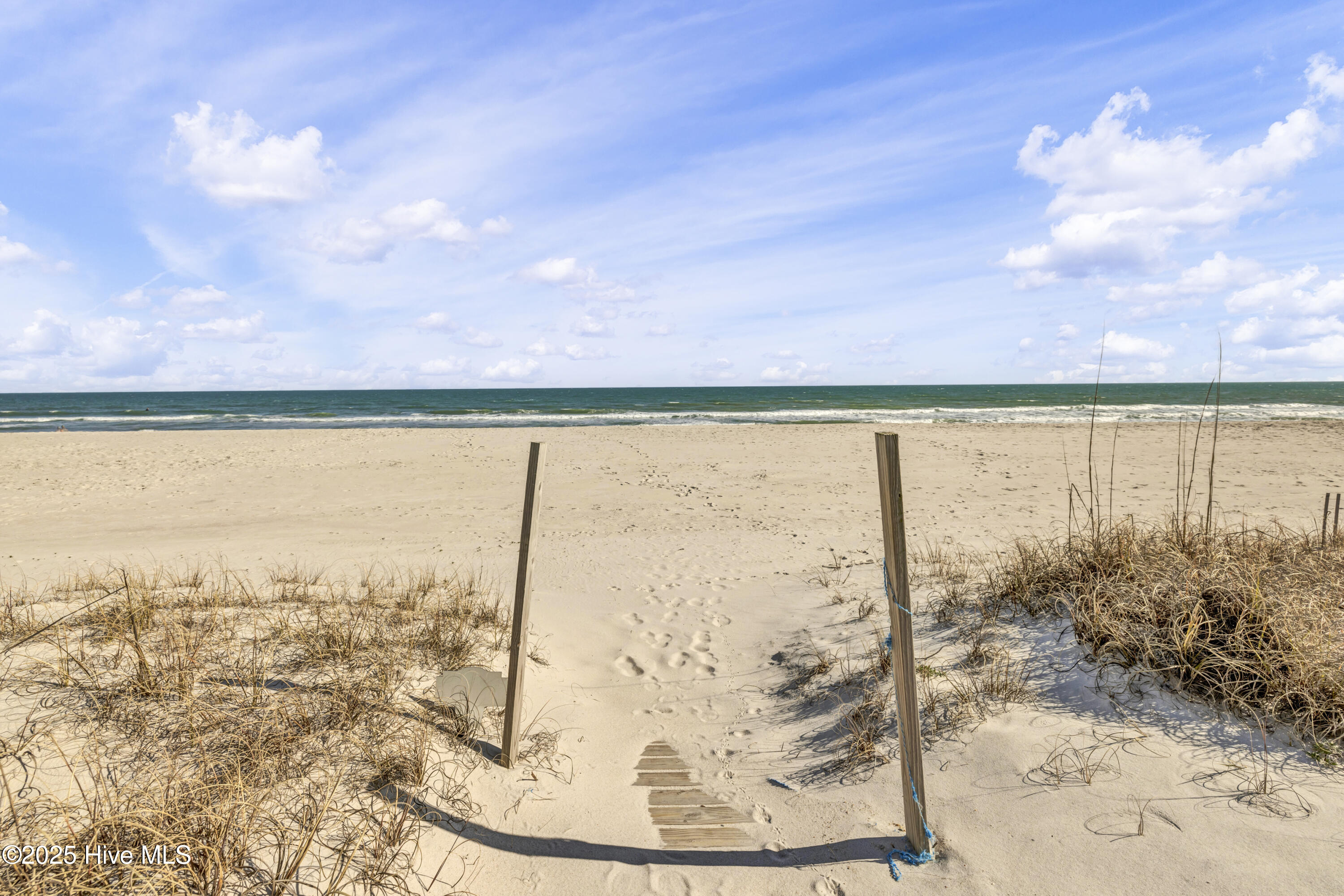 100511067 | Photo 30