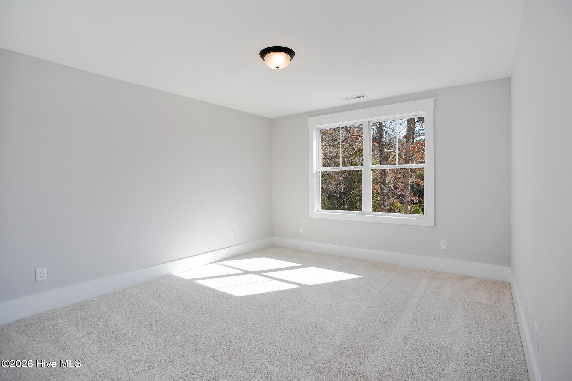 100564009 | Photo 36