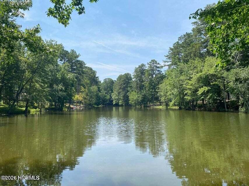 4th image of 1385 Blue Heron Dr, Nashville, NC 27856 | MLS# 100589122