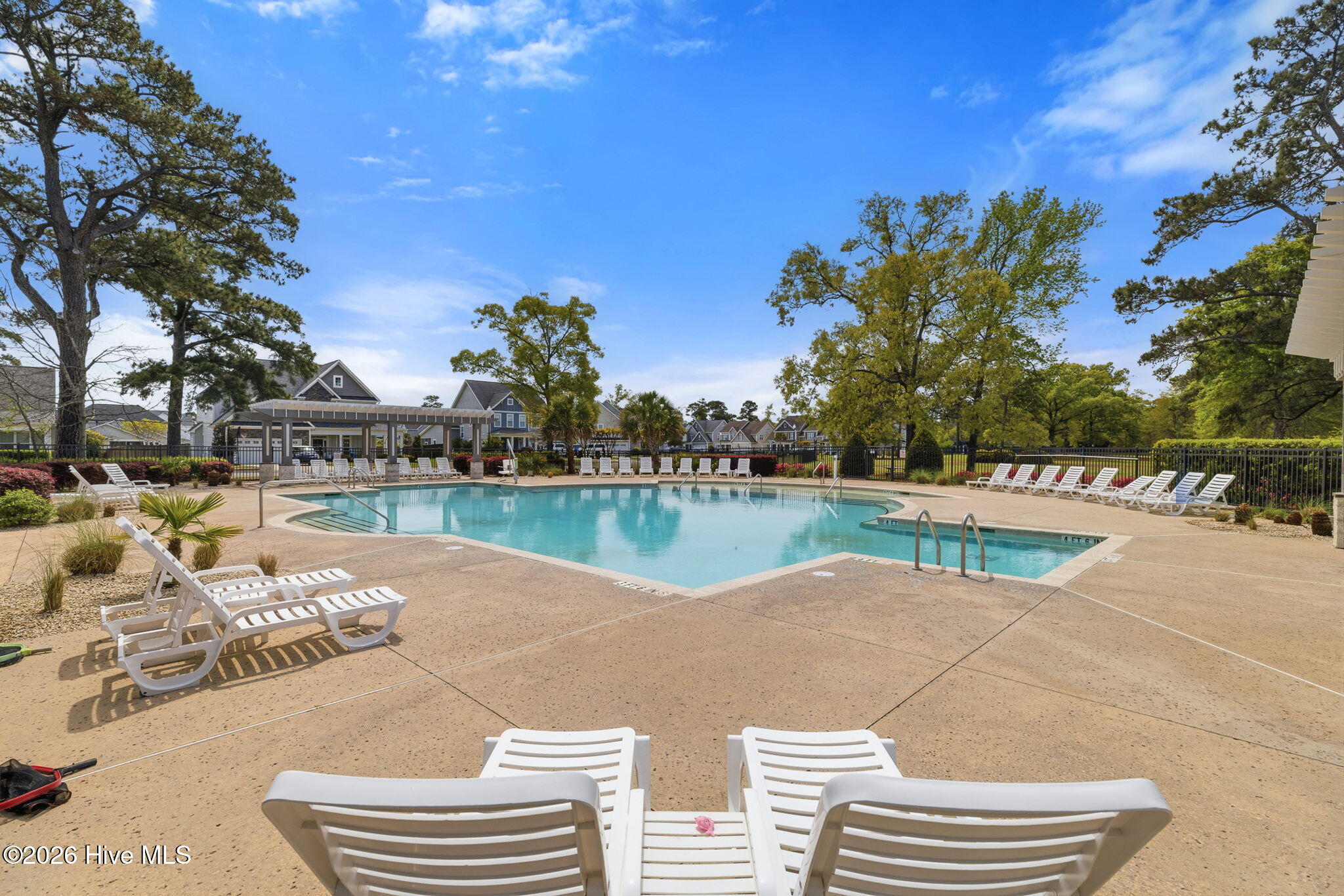 100565702 | Photo 43