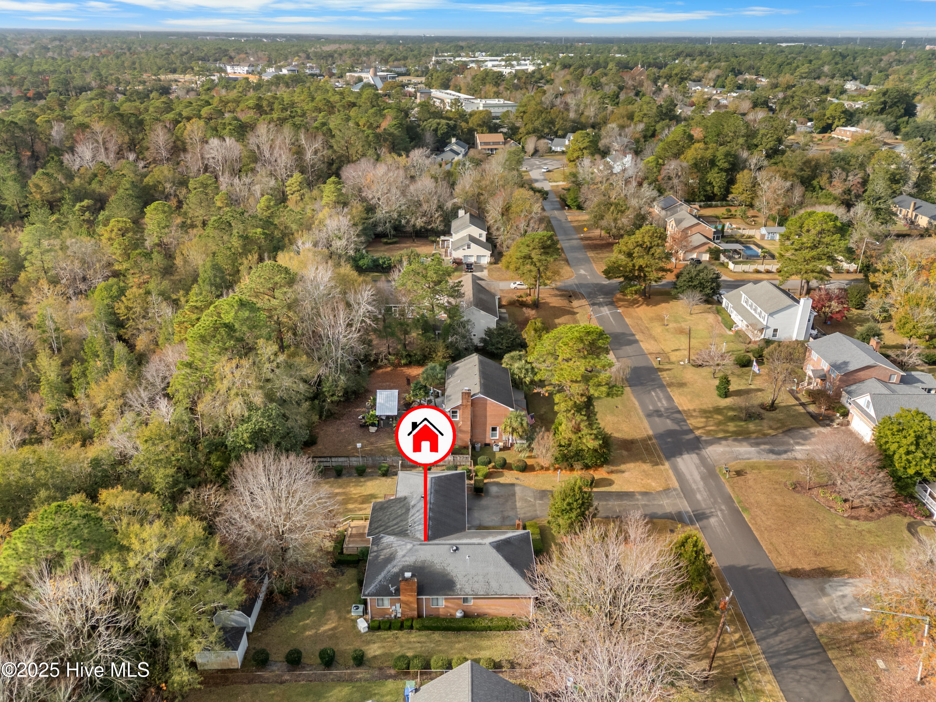 100542635 | Photo 69