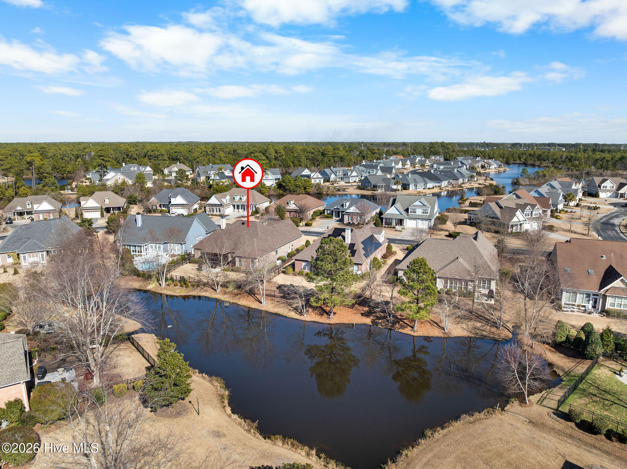 100564801 | Photo 49