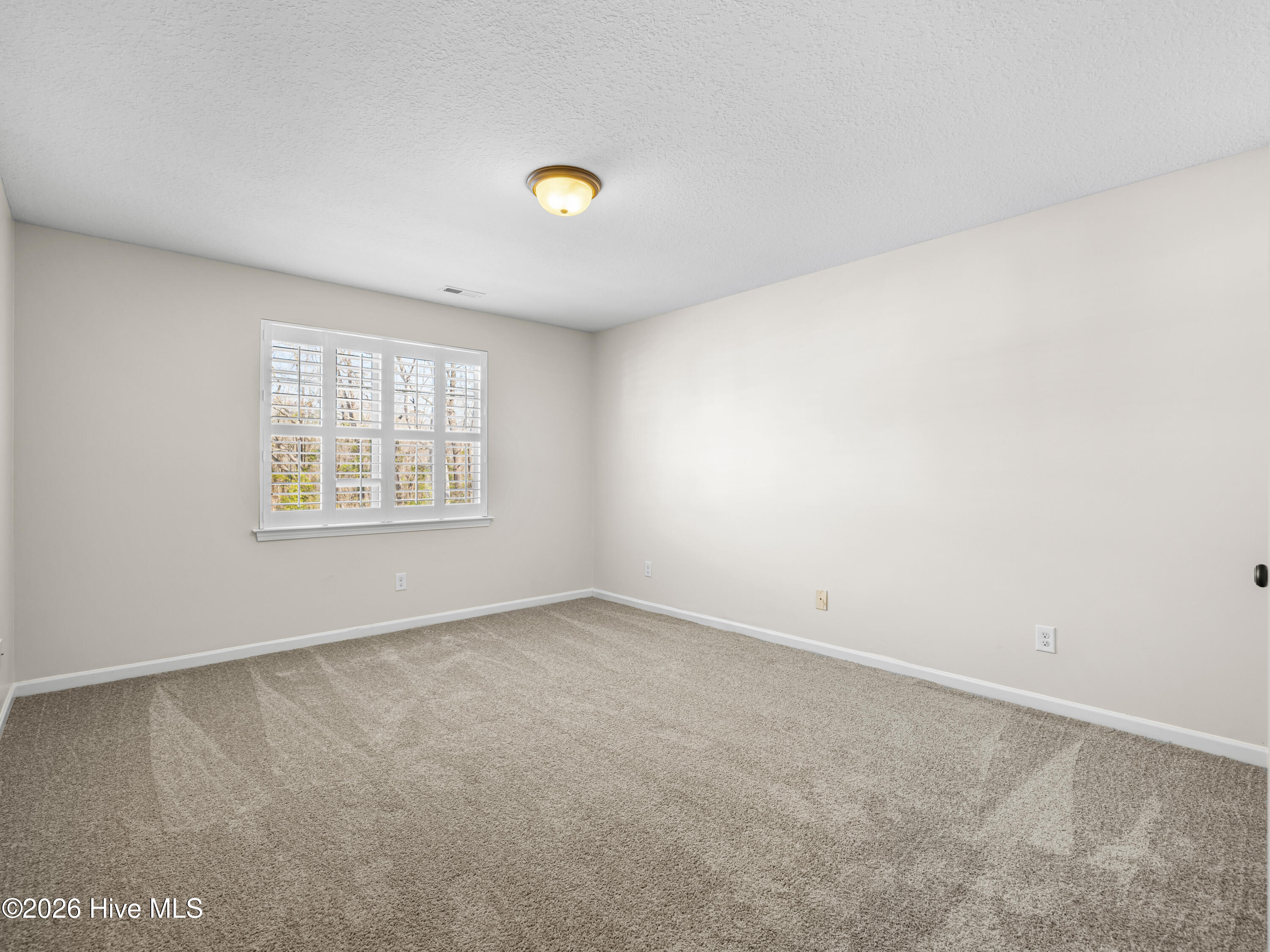 100554822 | Photo 35