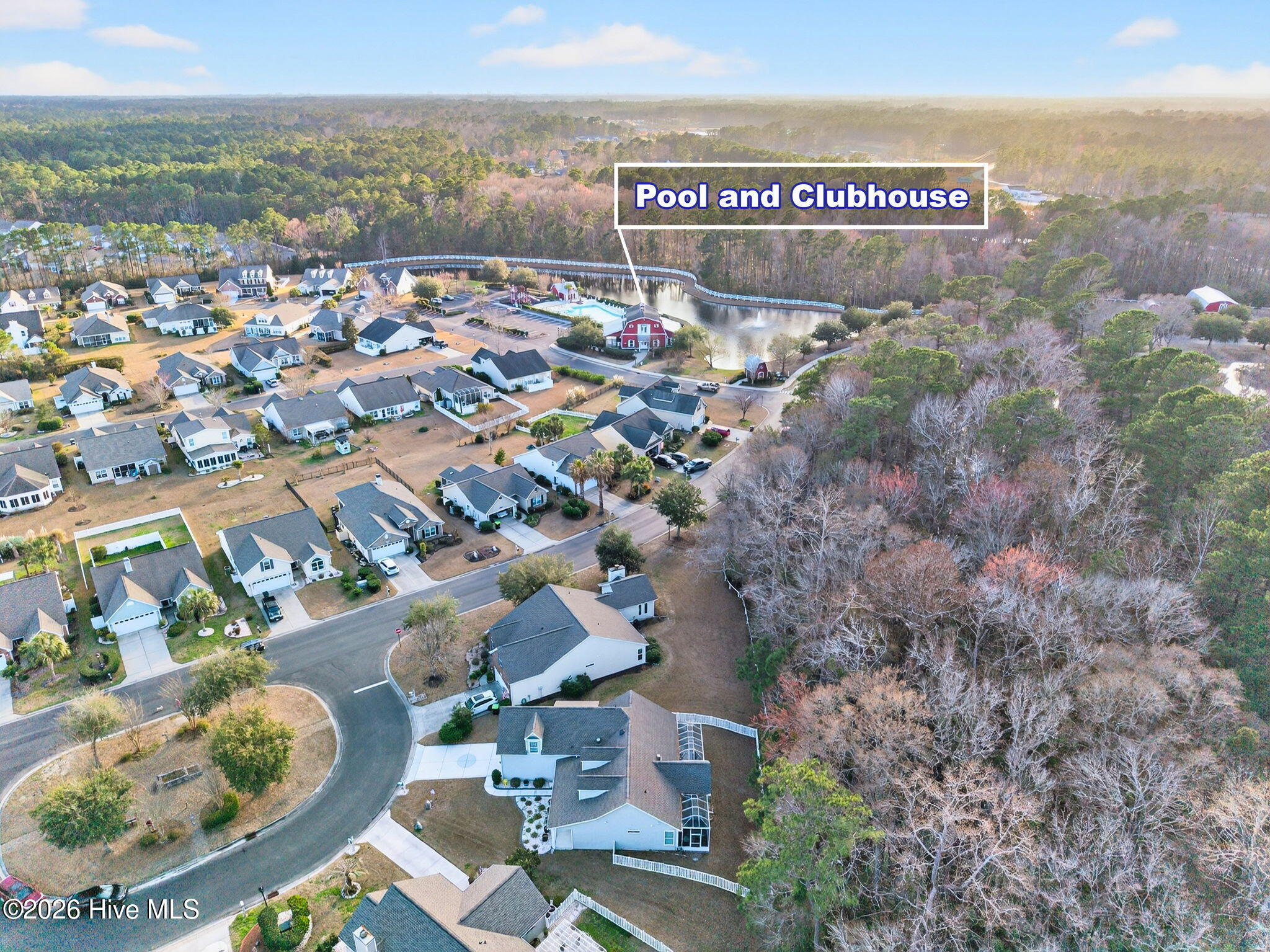 100558240 | Photo 45