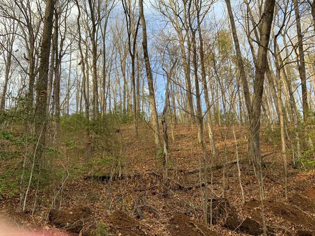 Exterior photo of Lot 1 1 Ivy Log Road, Murphy, NC 28906. MLS: 98525055