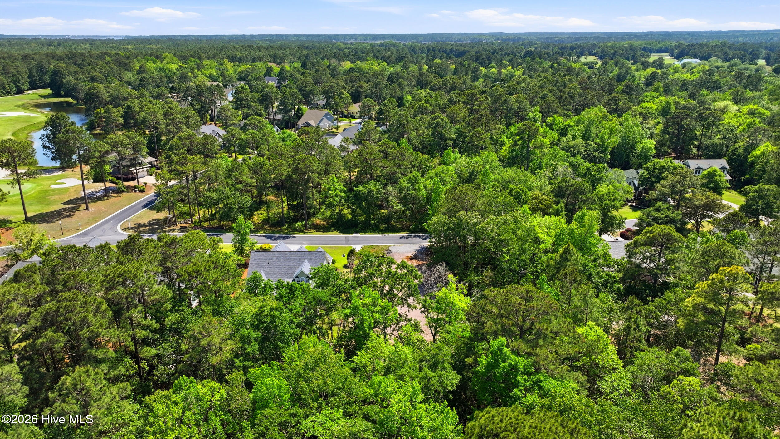 100570003 | Photo 22