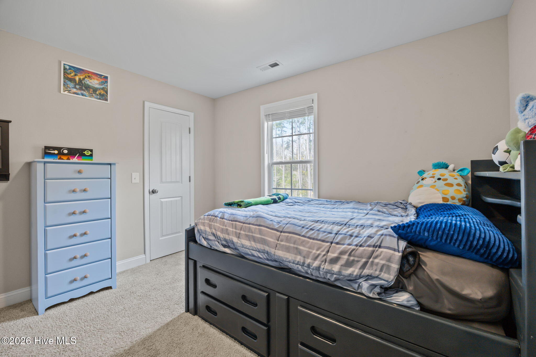 100561827 | Photo 34