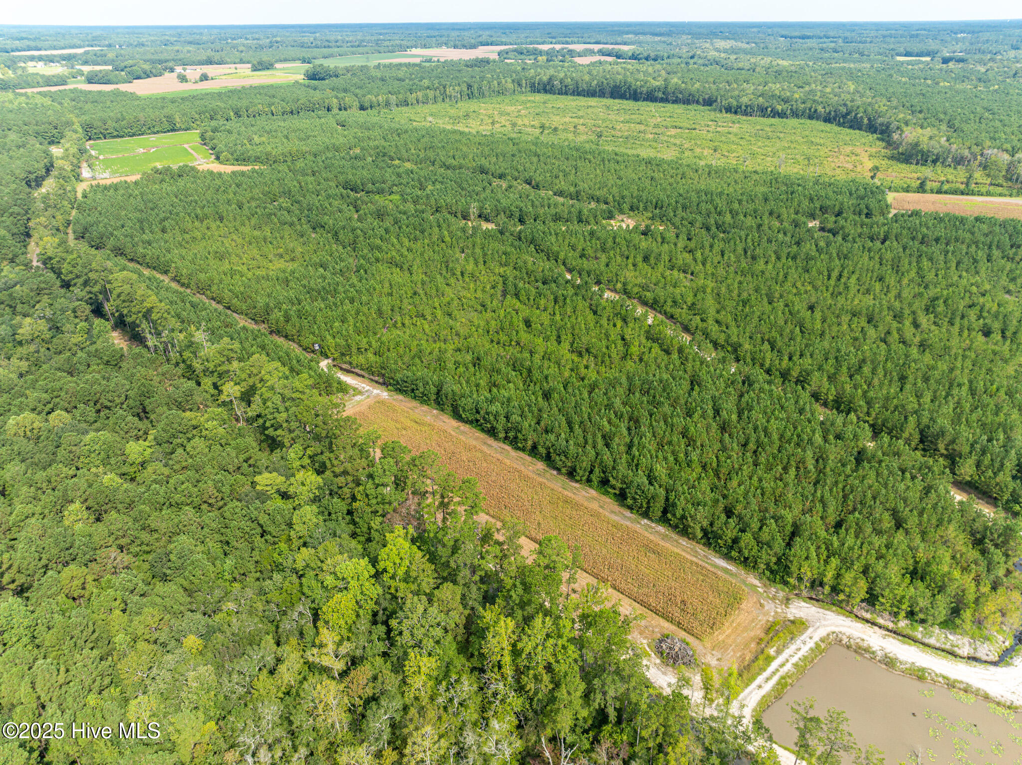 000 Butler Town Road, Clarendon, NC, 28432