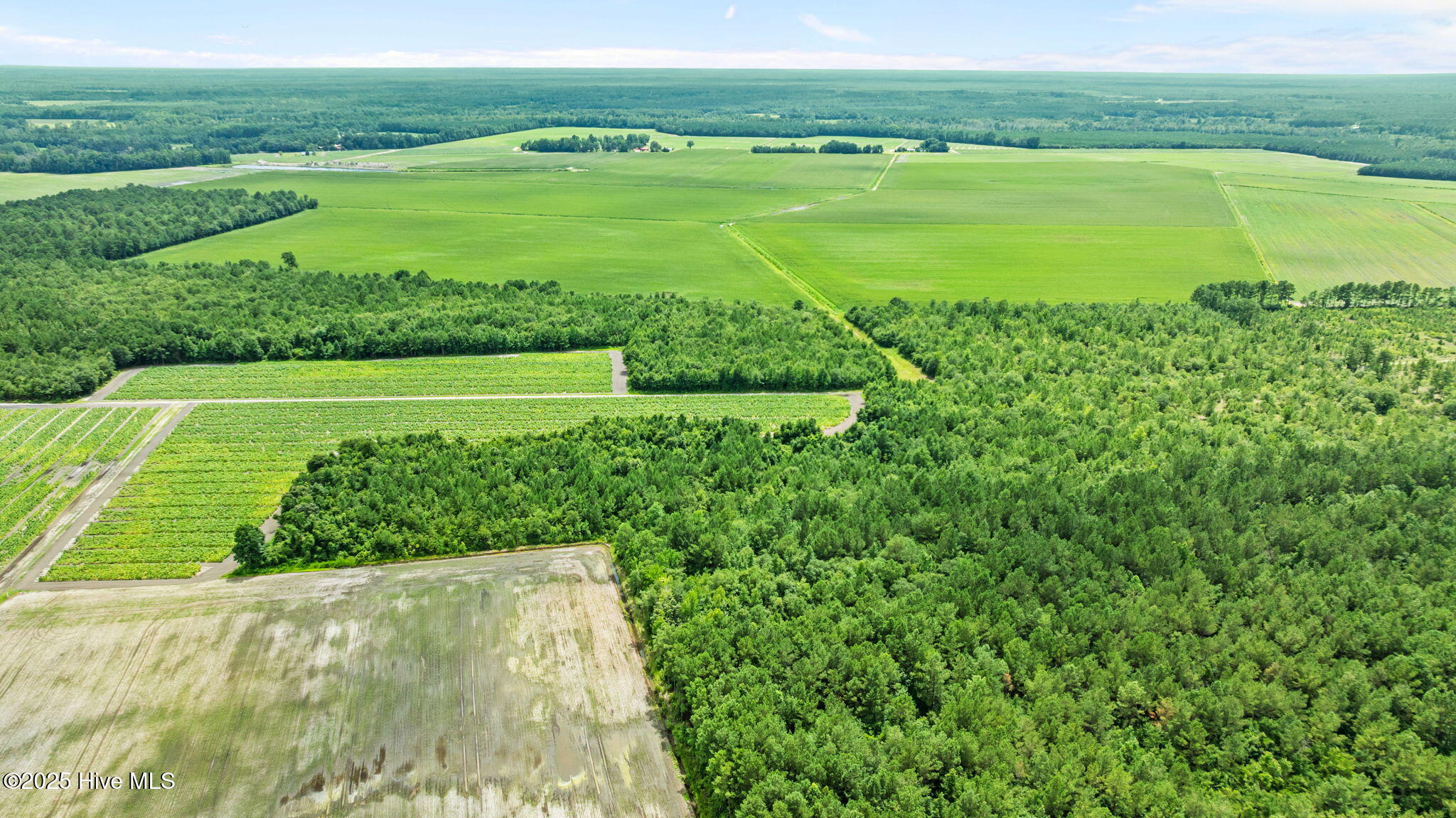 0 Green Sea Road, Garland, NC, 28441