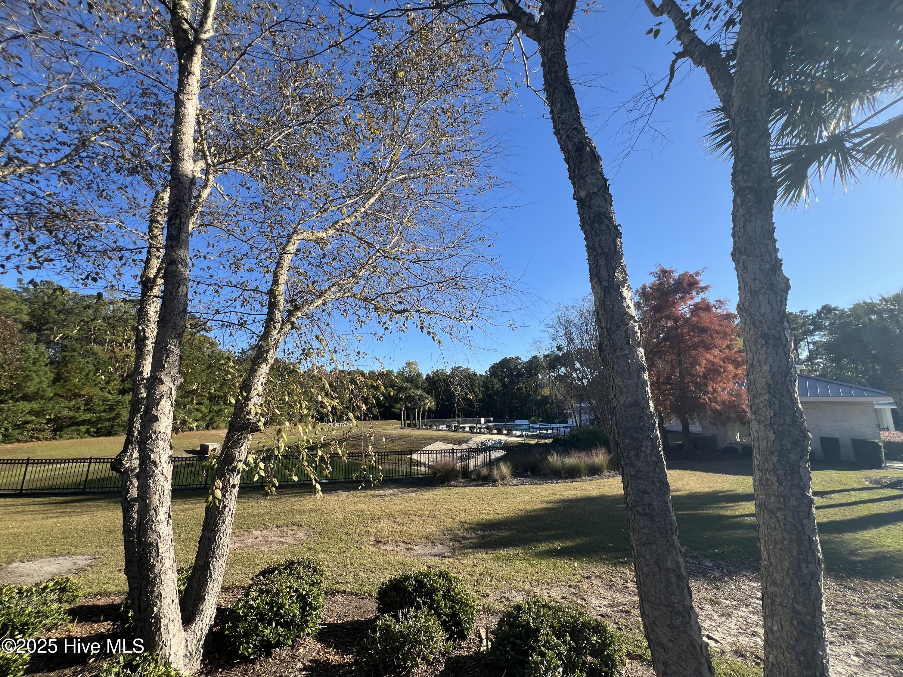 100524627 | Photo 41