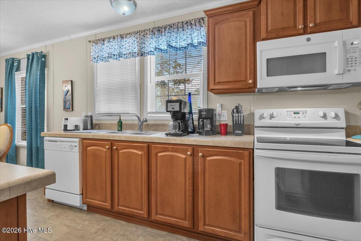 100554513 | Photo 20