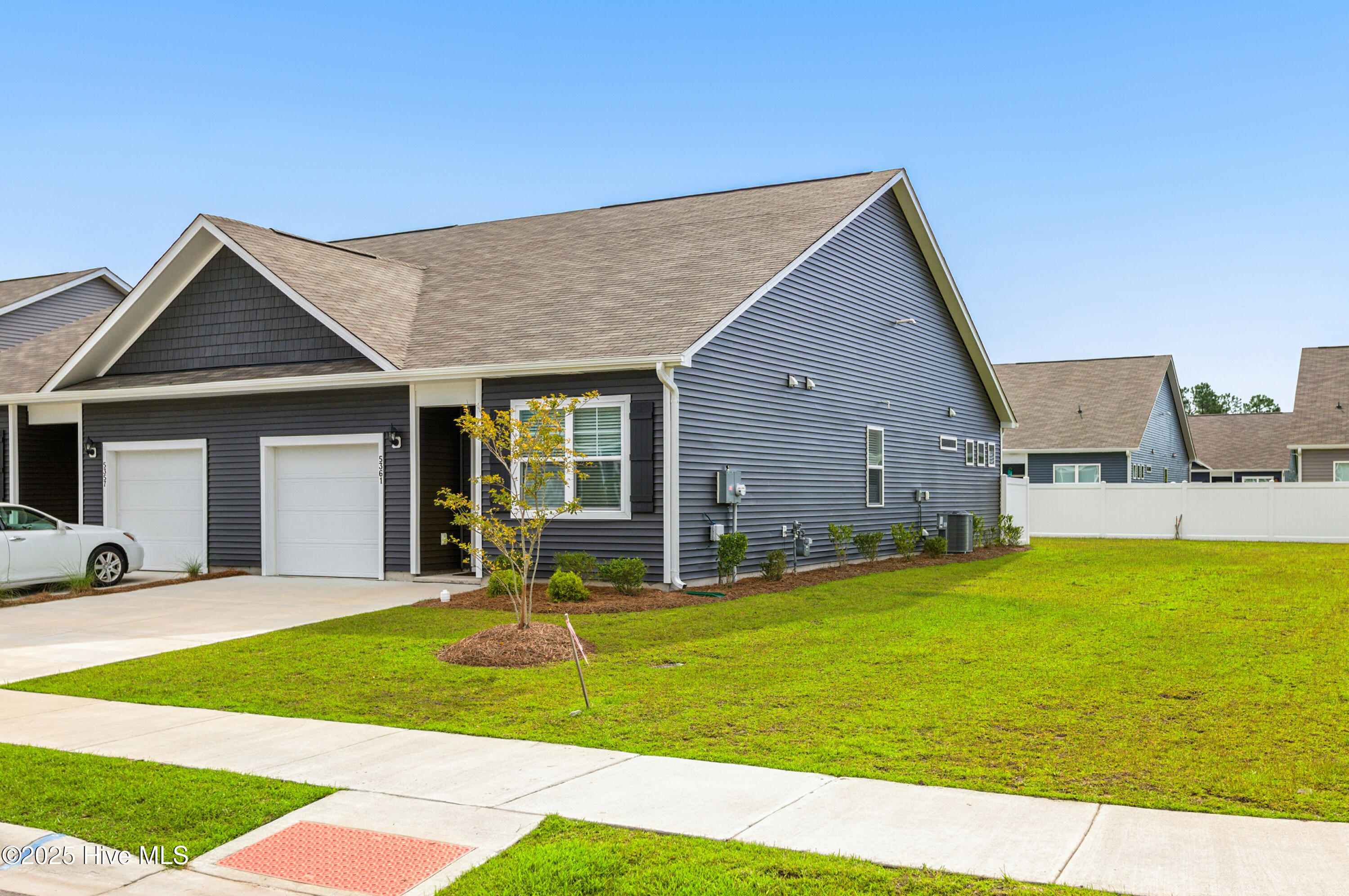 002_5361_gladecress-02_388