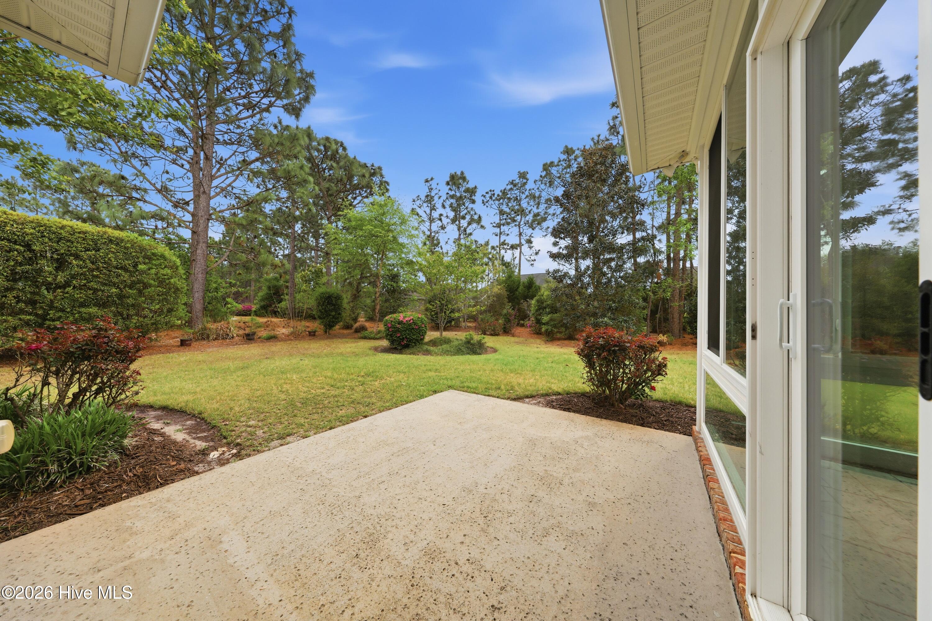 100565162 | Photo 33