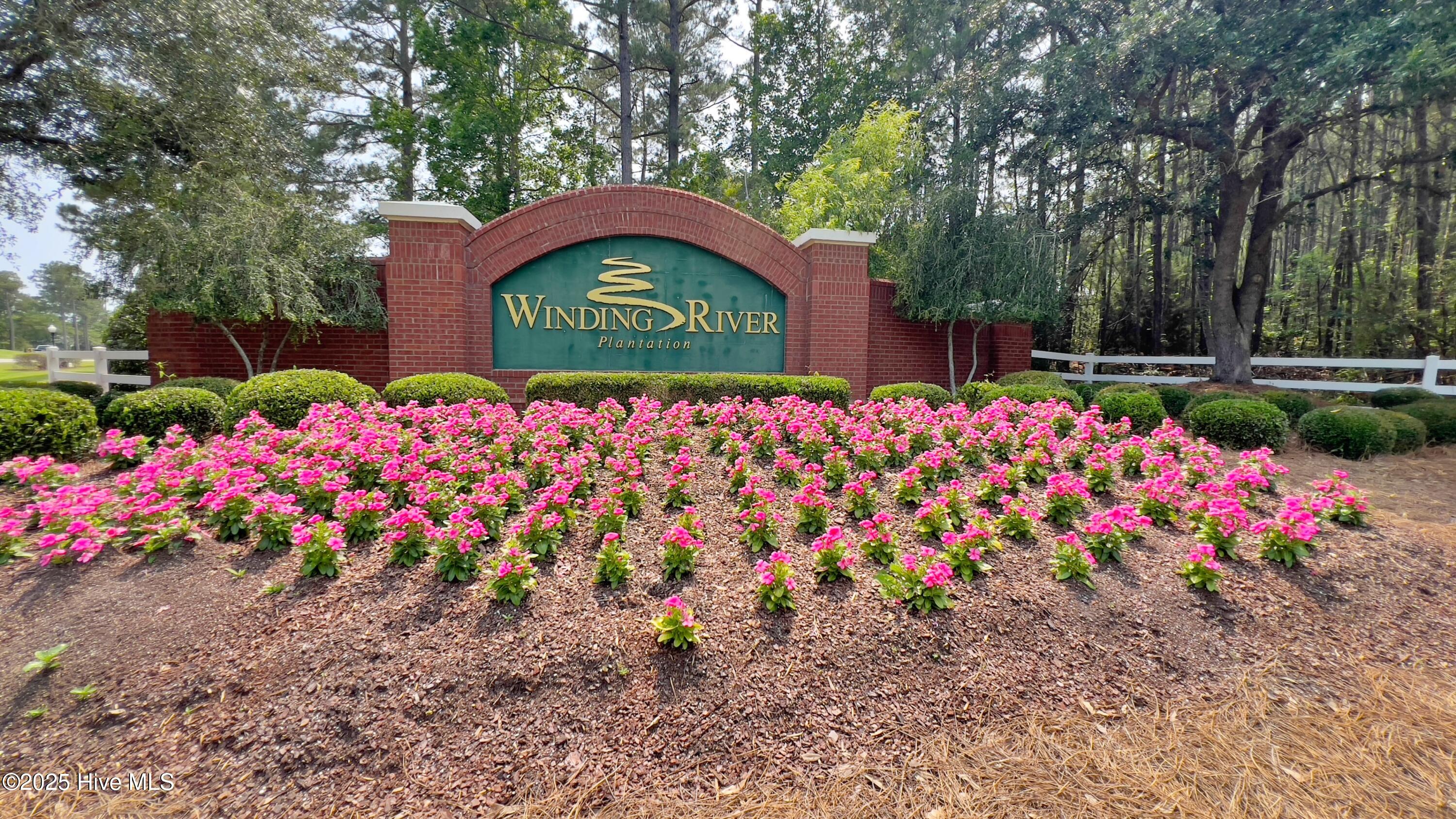 100511147 | Photo 41