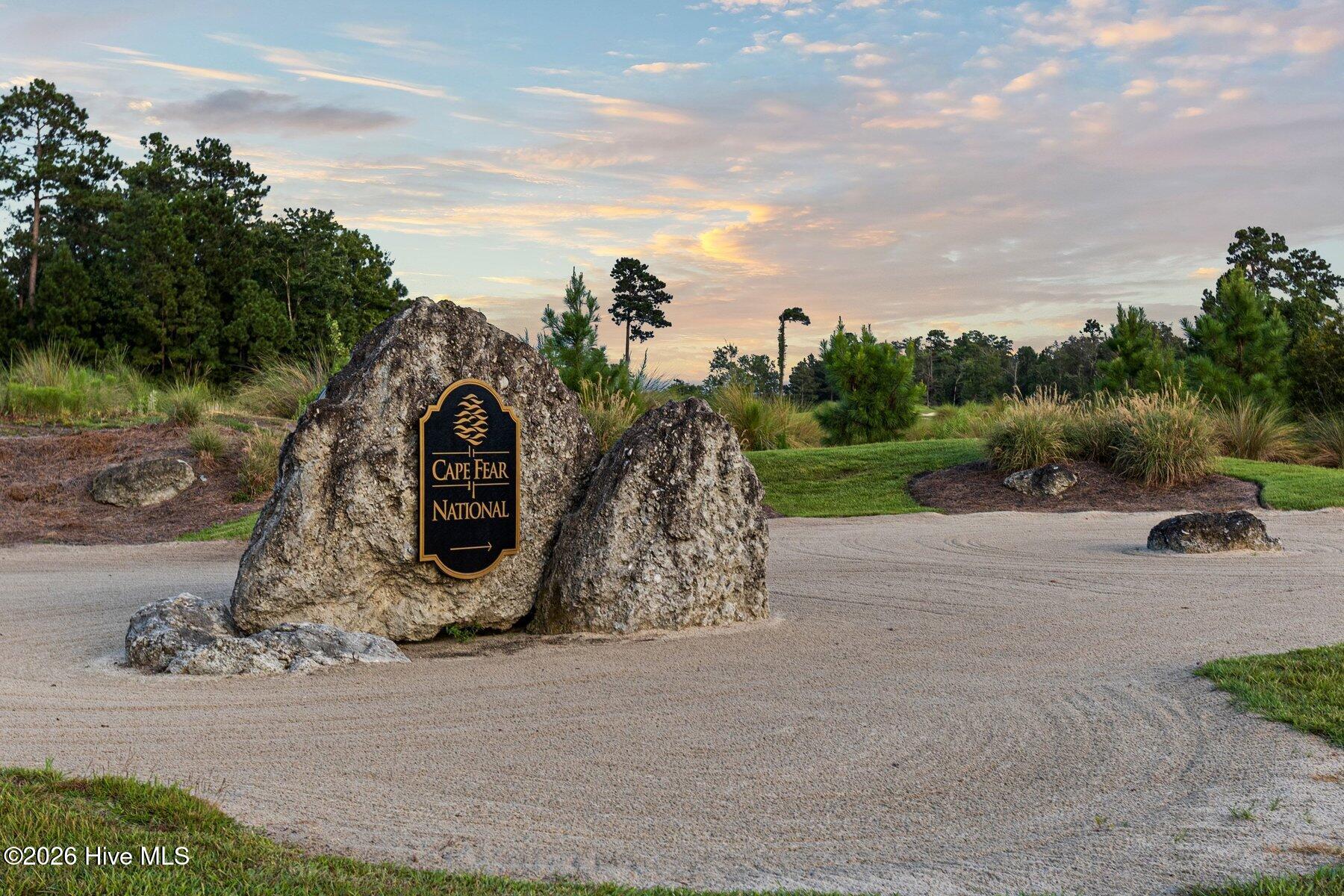 100558018 | Photo 62