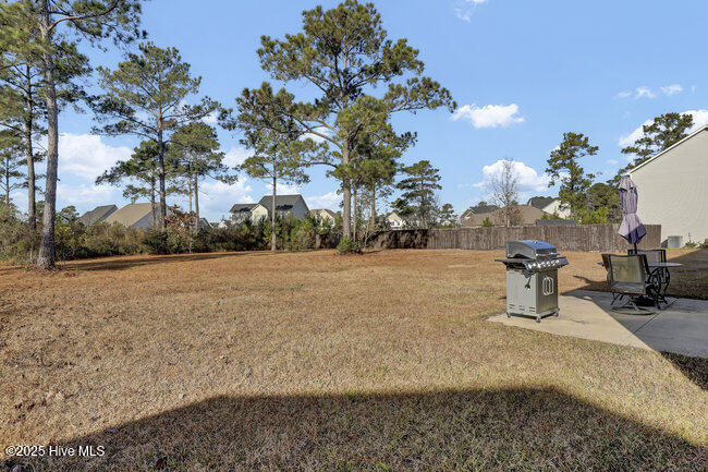 100545238 | Photo 29