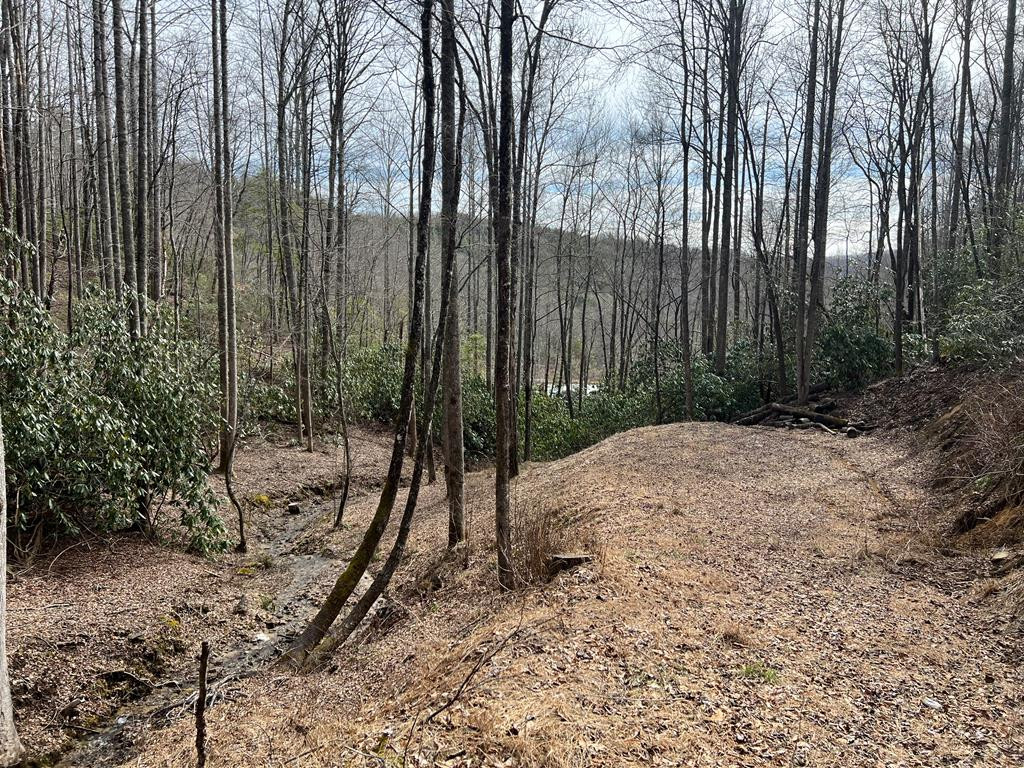 Homes for sale in Nantahala, NC | Lot 17 Black Bear Trl, Nantahala, NC 28781 | MLS# 98524271