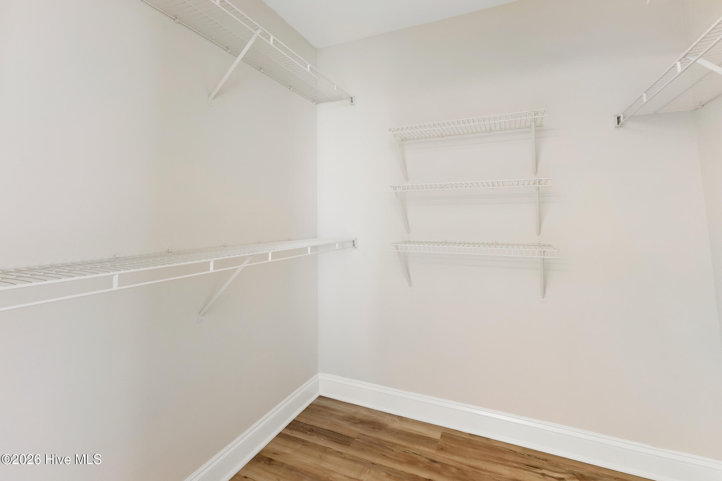 100559842 | Photo 25