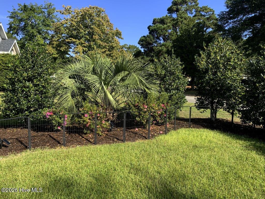 100554022 | Photo 52