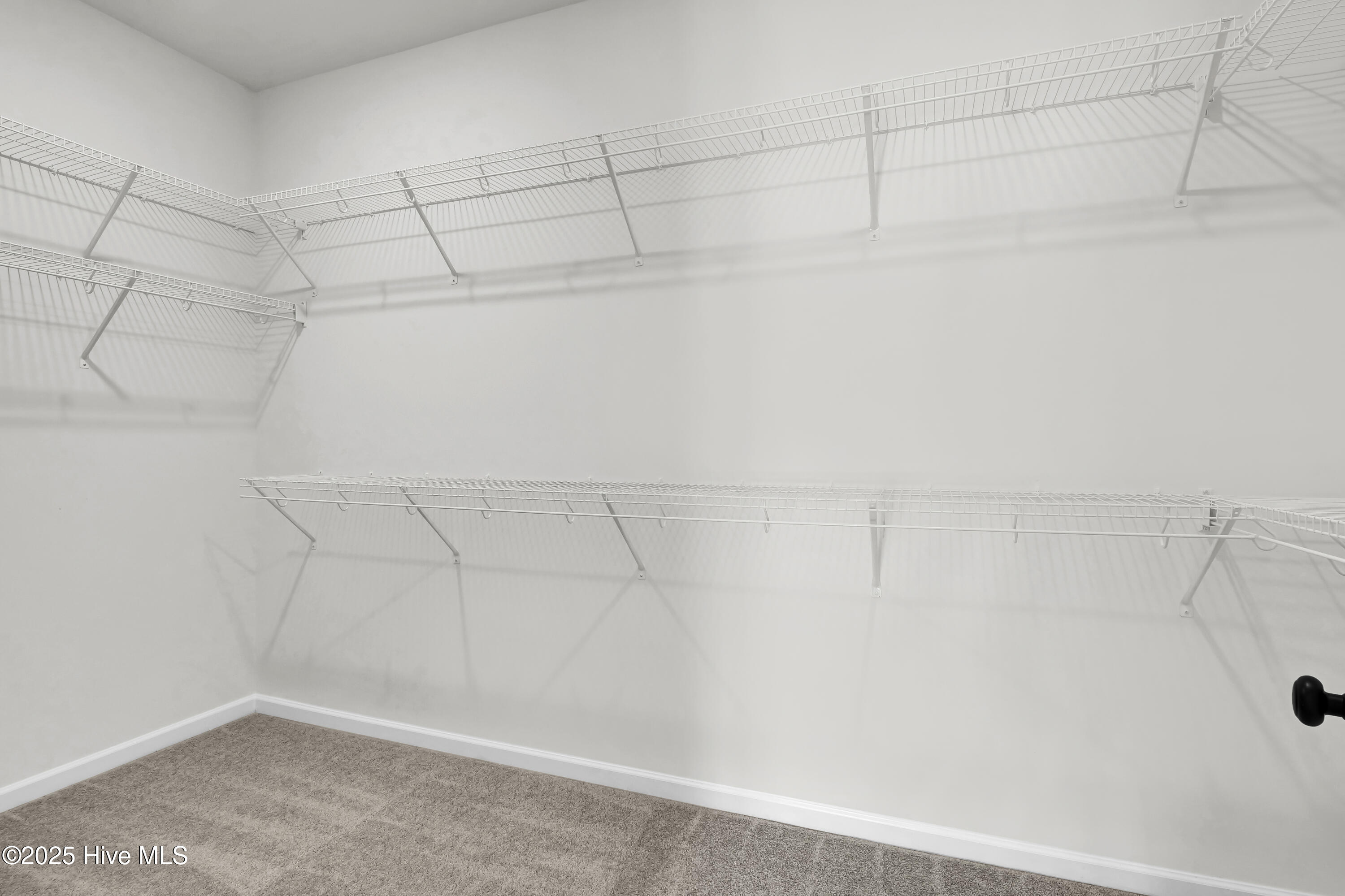 100518803 | Photo 16