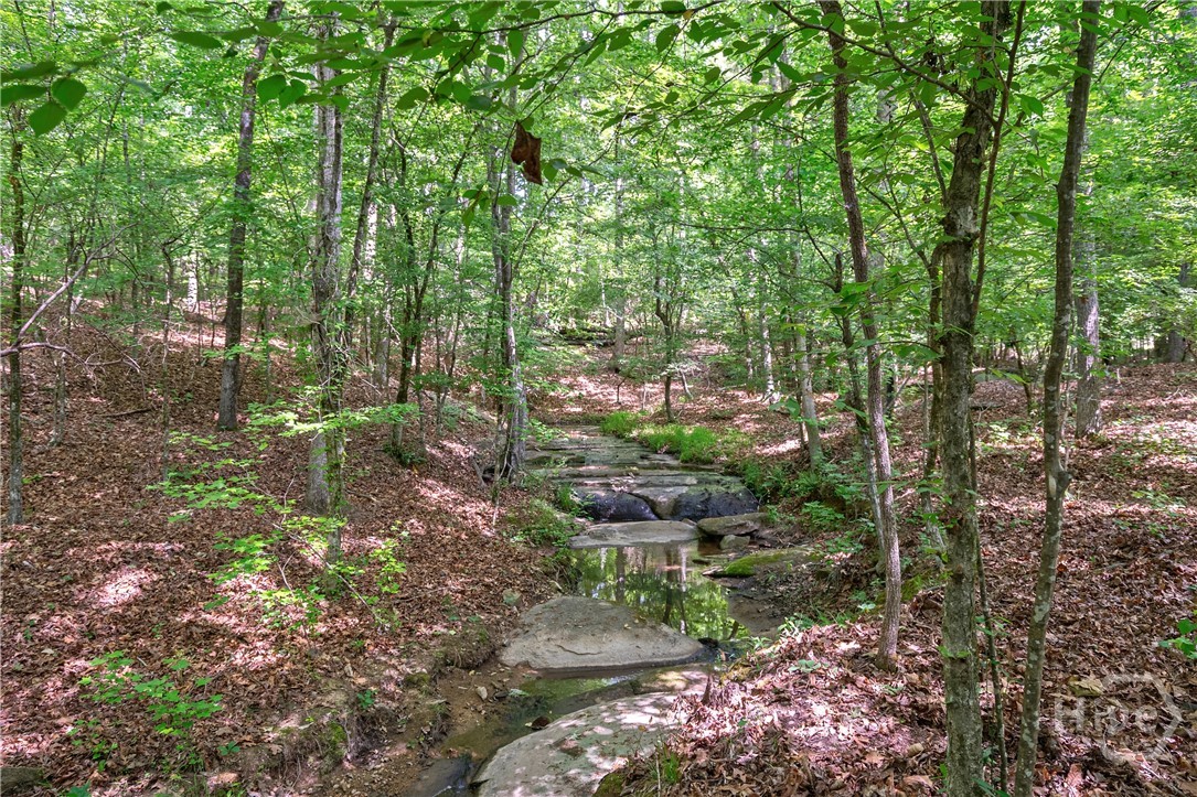 Property at 0 Gene Smith Road