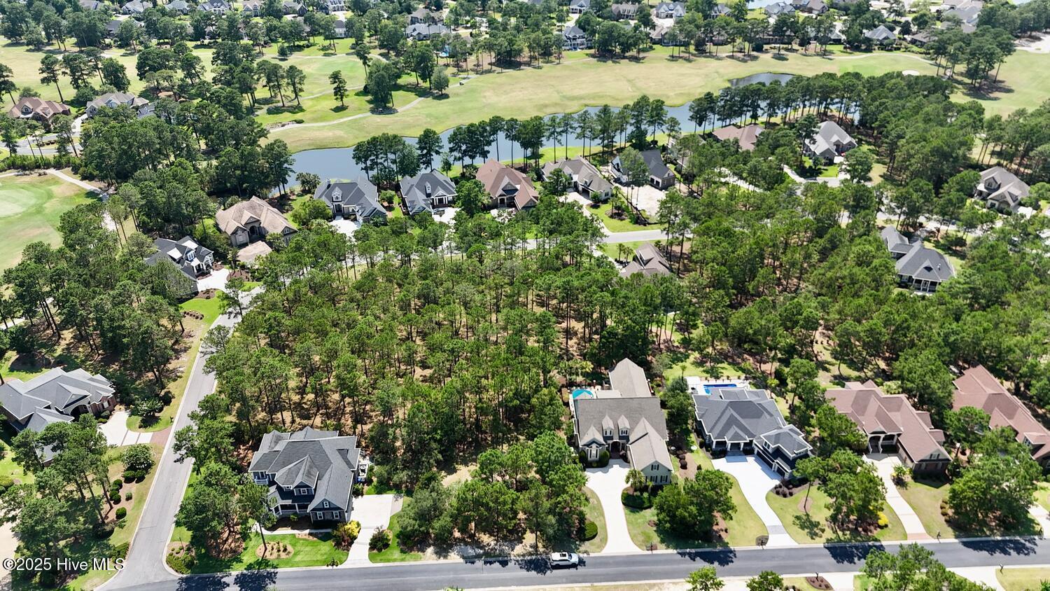 100554375 | Photo 54