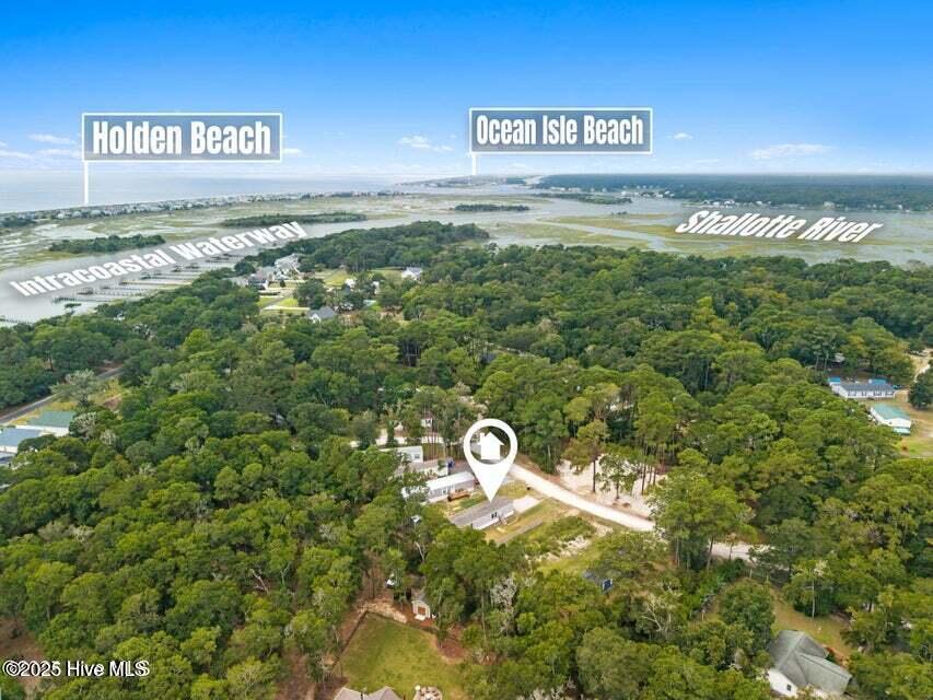 100544319 | Photo 12