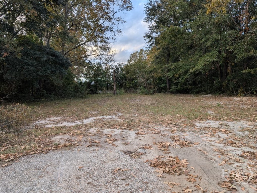 Homes for sale in Savannah, GA | 121 Roberts St, Savannah, GA 31408 | MLS# SA344029