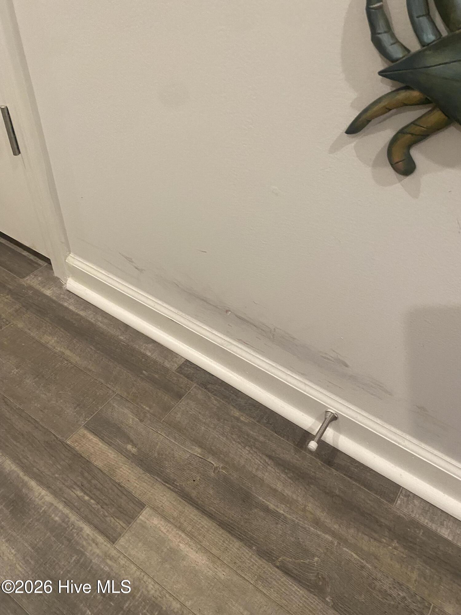 100566692 | Photo 57