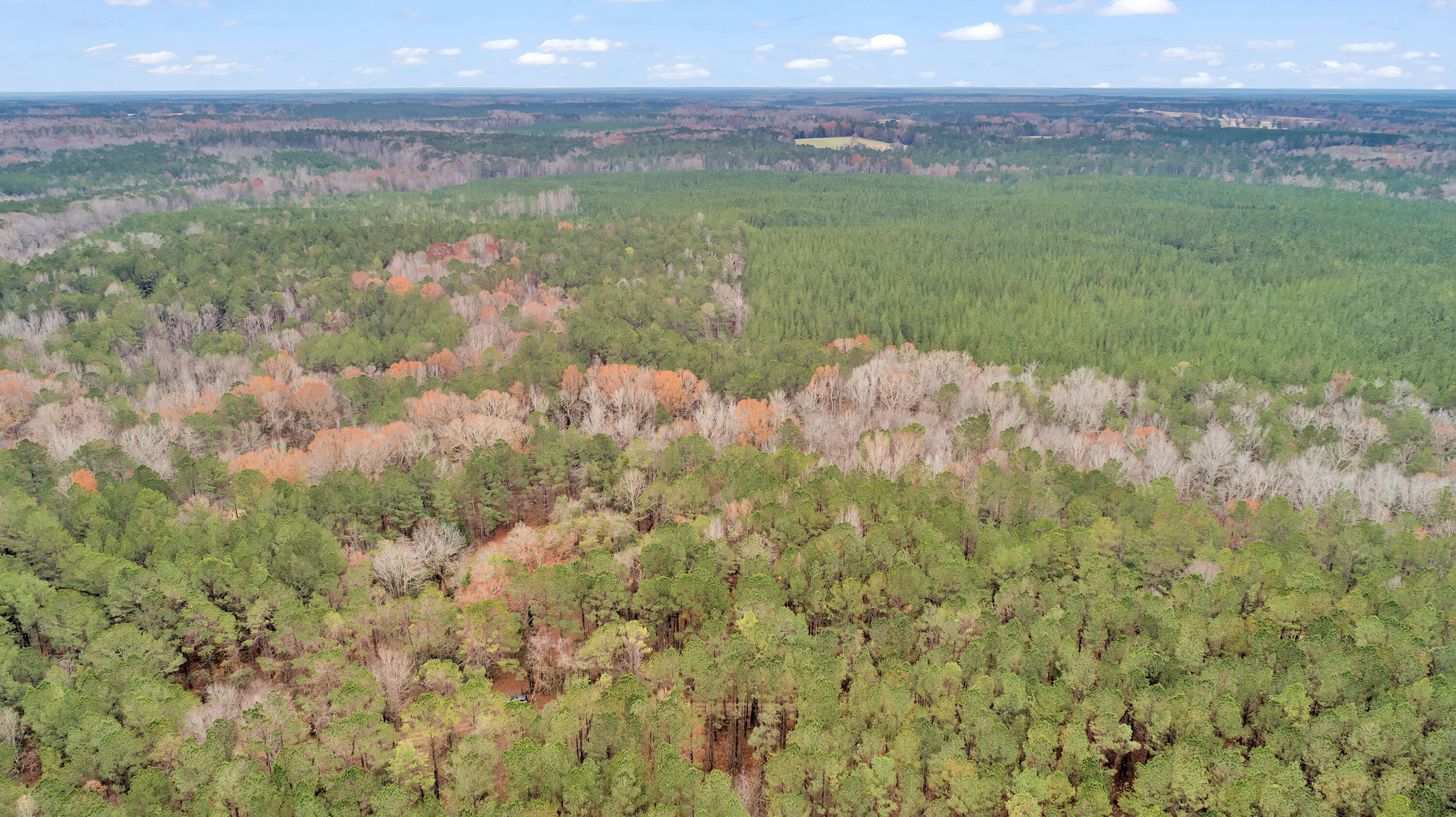 Saggus Rd land 121-007A, 400ft View, Dro