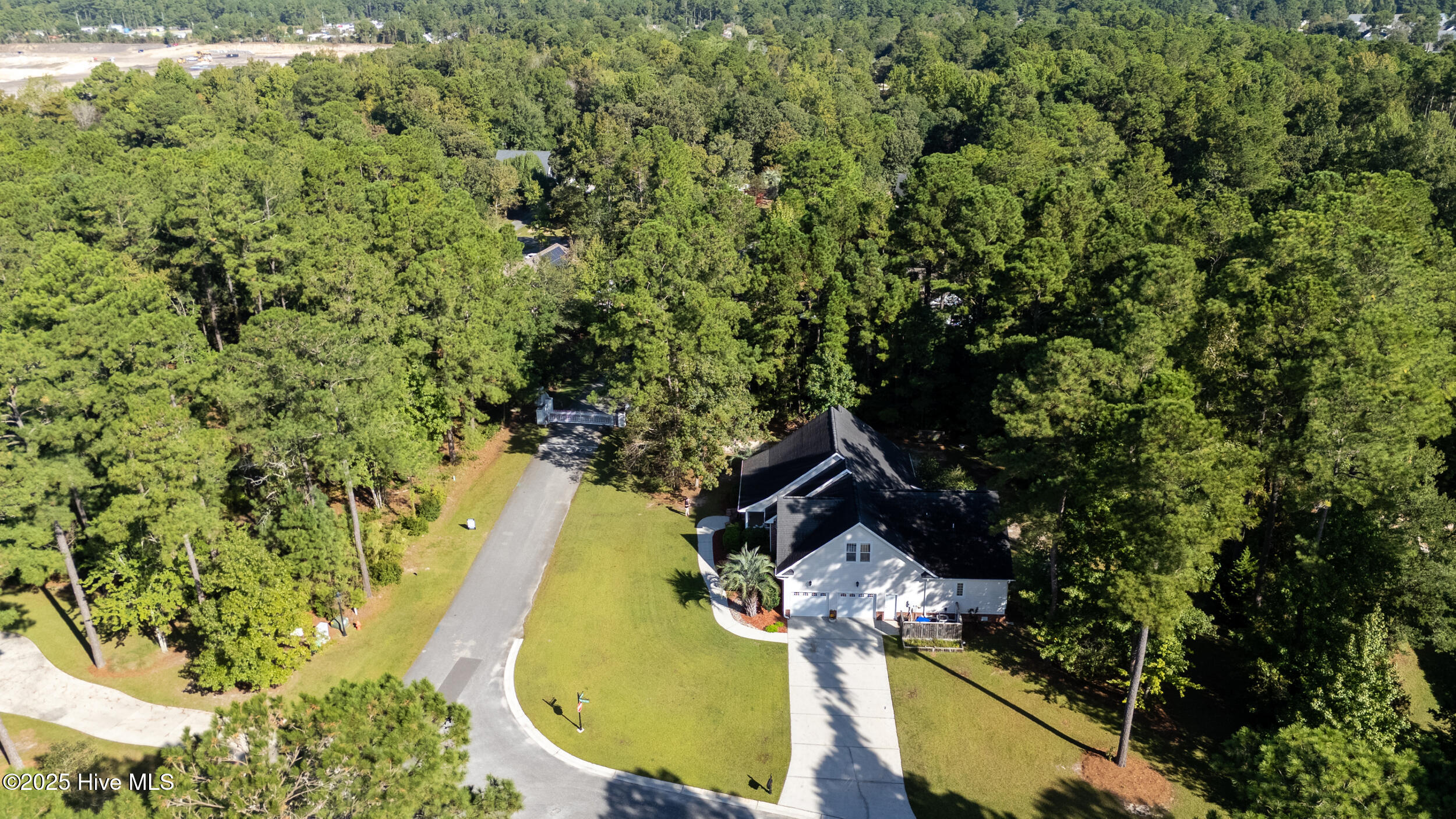 100534384 | Photo 53