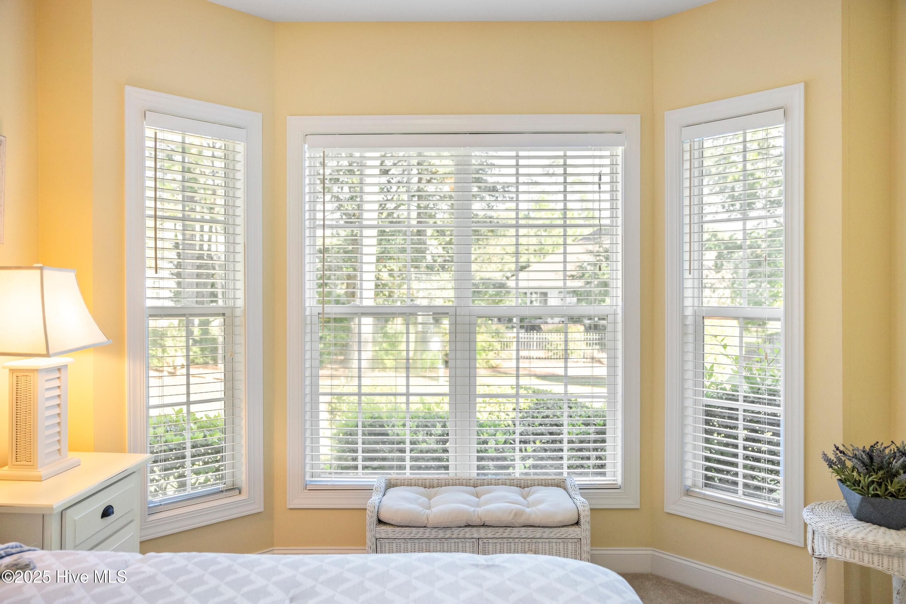 100538376 | Photo 42