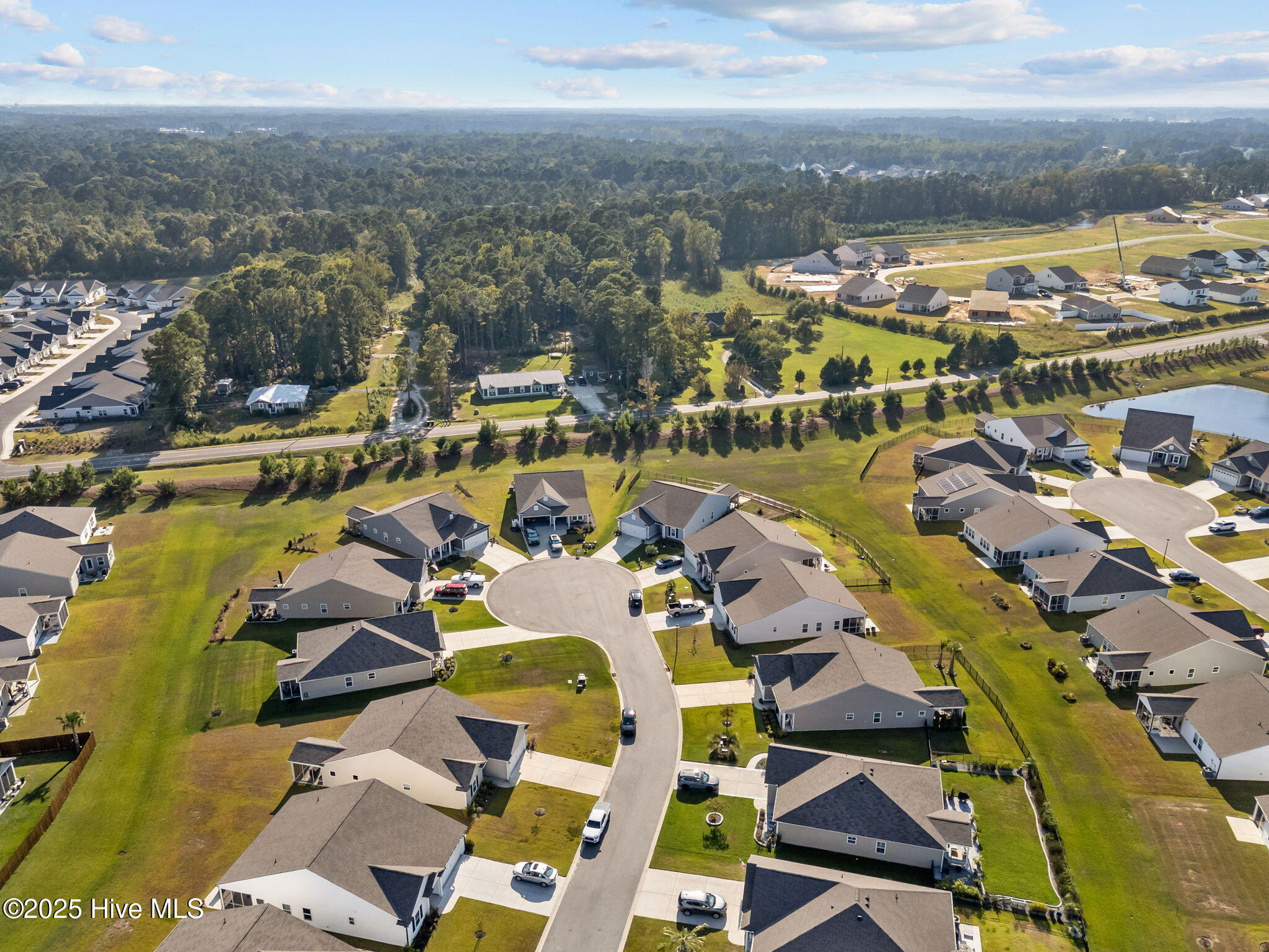 100531839 | Photo 51